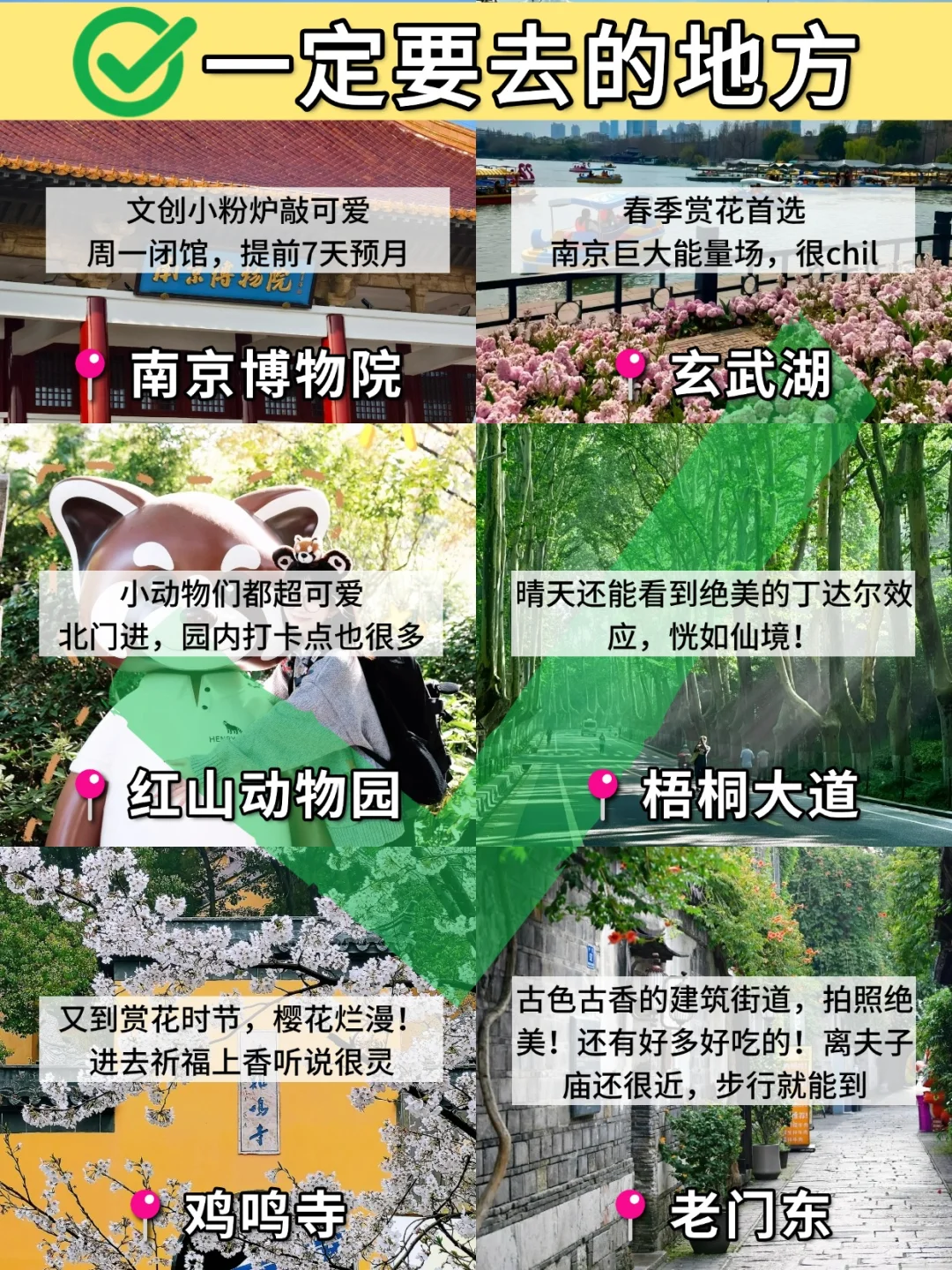 南京已逃…崩溃了😫只想说些大实话
