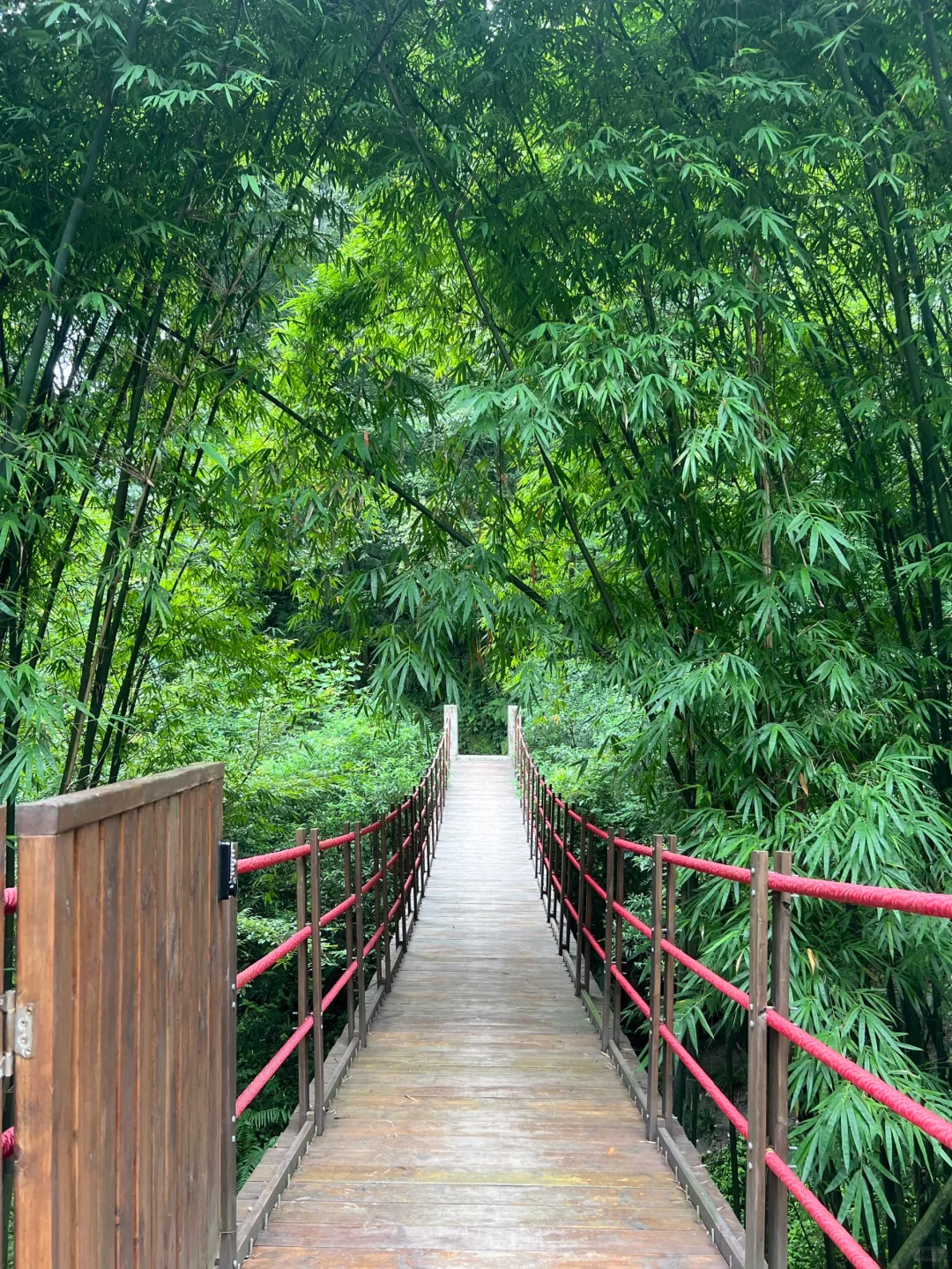 成都！青城山！树景房好city呀！美哭了