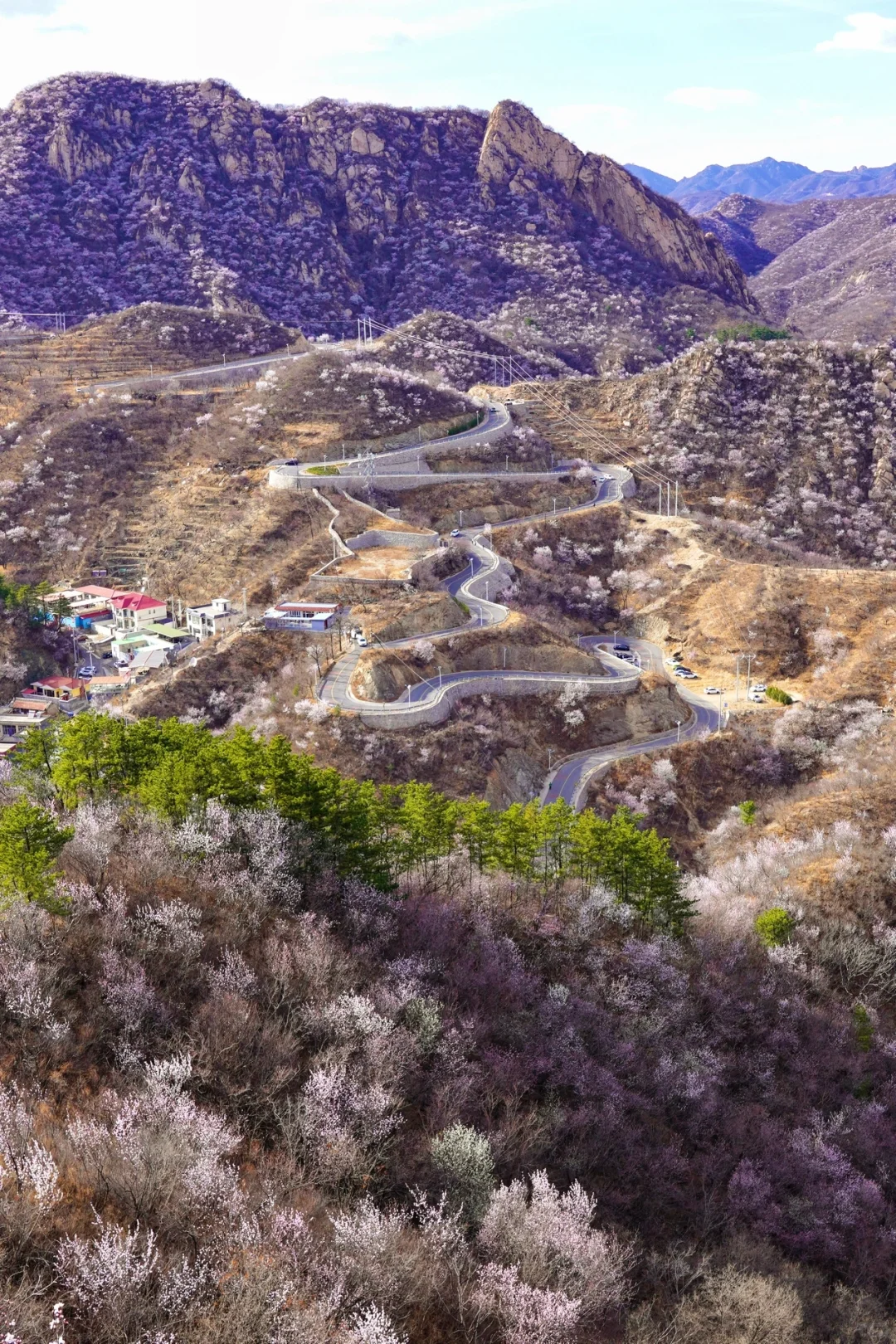 北京最美公路🚙一处免费被花海包围的长城🌸