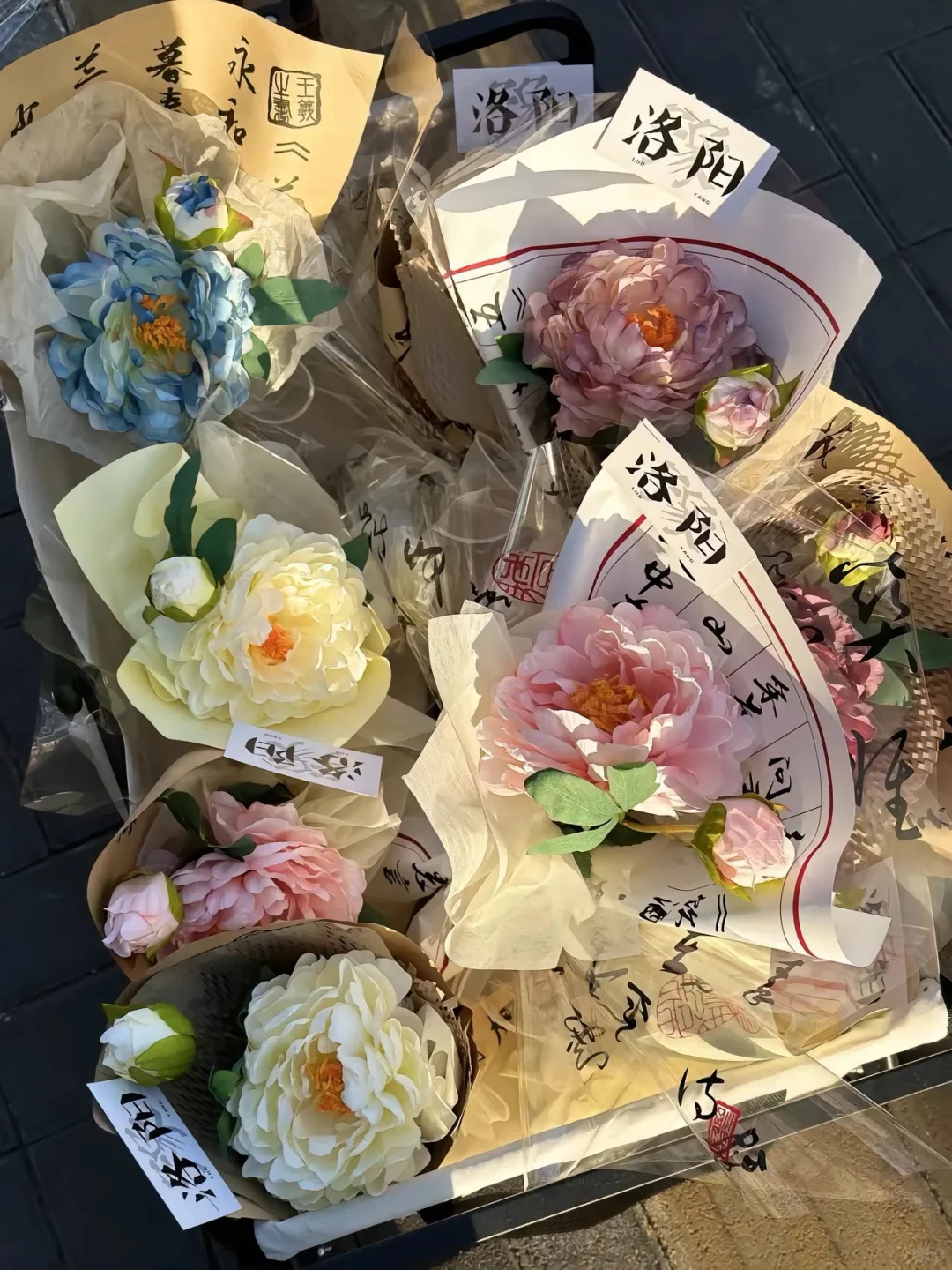 洛阳牡丹