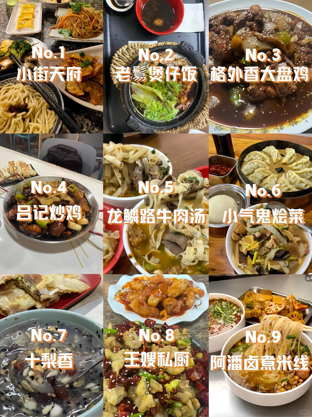 洛阳牡丹