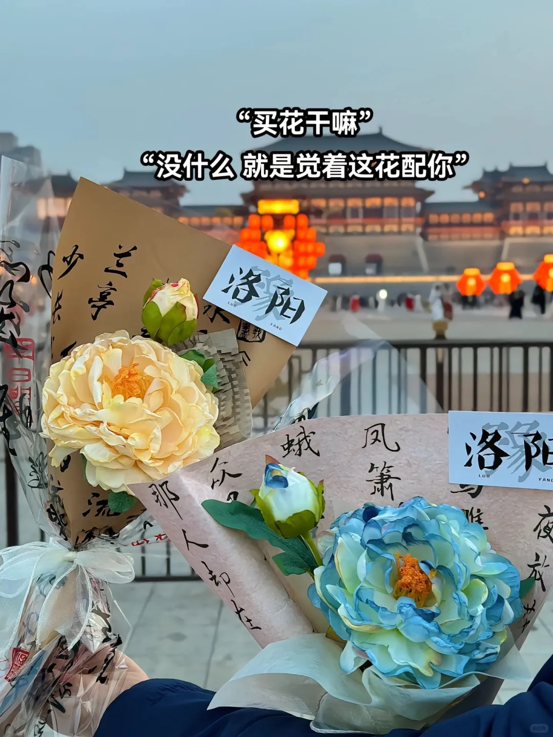 洛阳牡丹