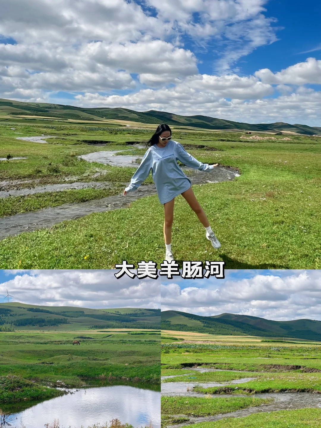 草原避暑/承德丰宁坝上草原