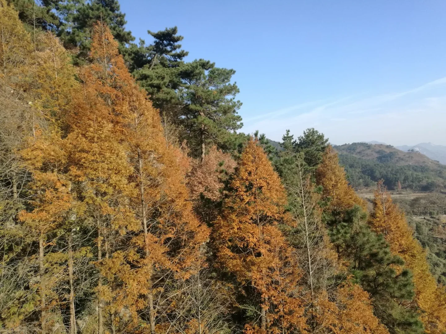 商城旅游攻略，豫南小城的宝藏之旅！