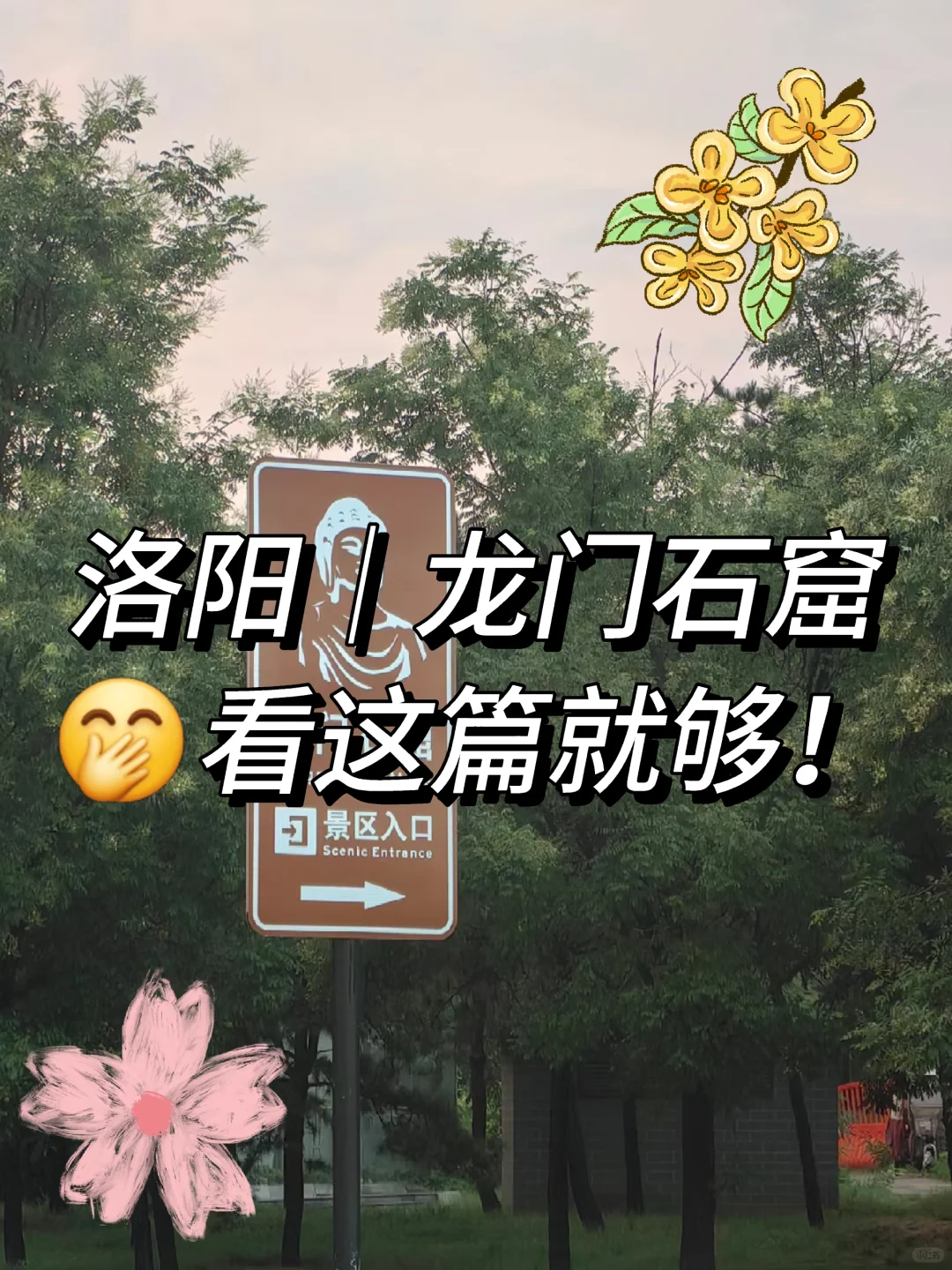 🔥洛阳·龙门石窟｜穿越千年的震撼🐉