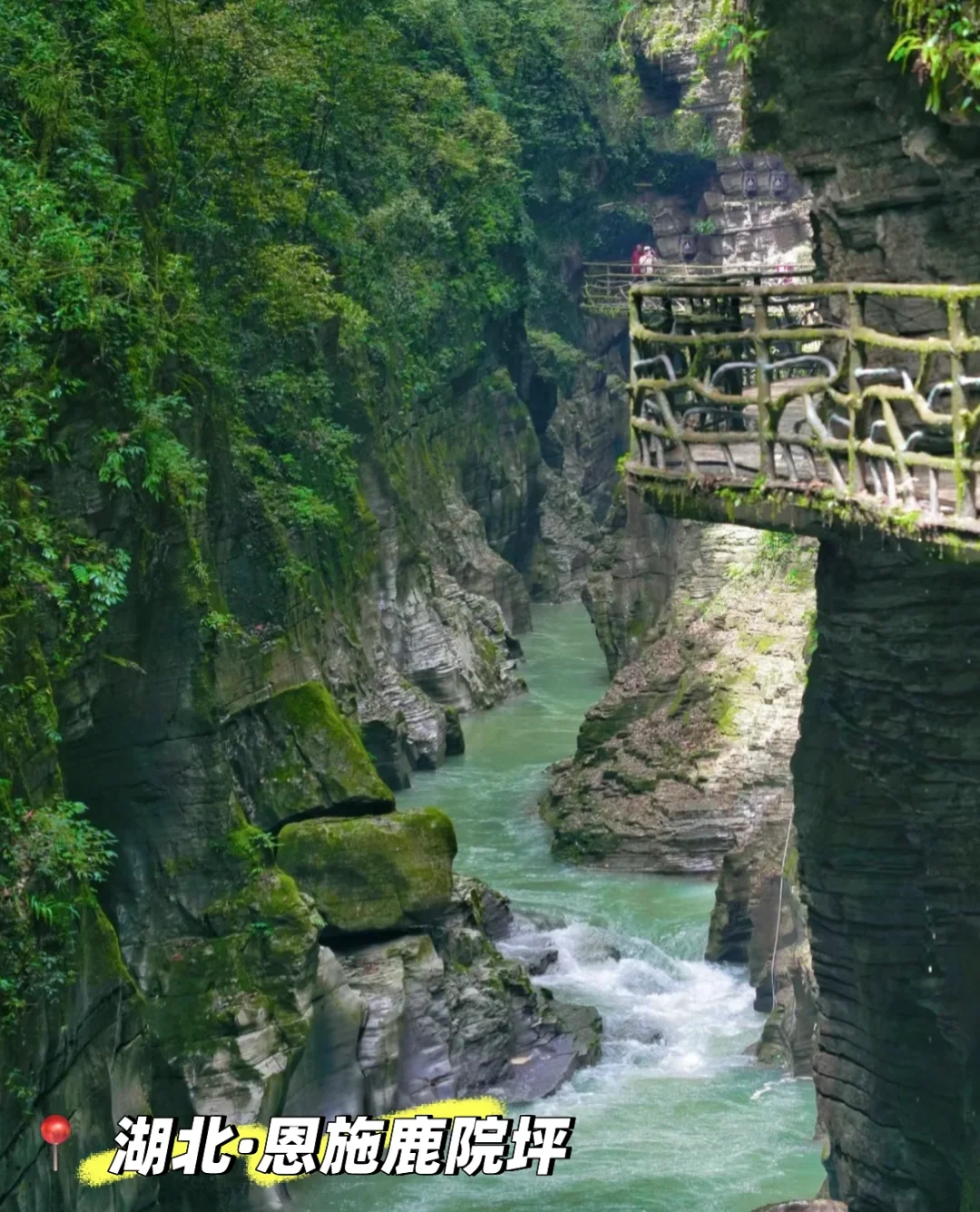 清明拒绝人挤人！快来看这六个小众旅行地～🌸