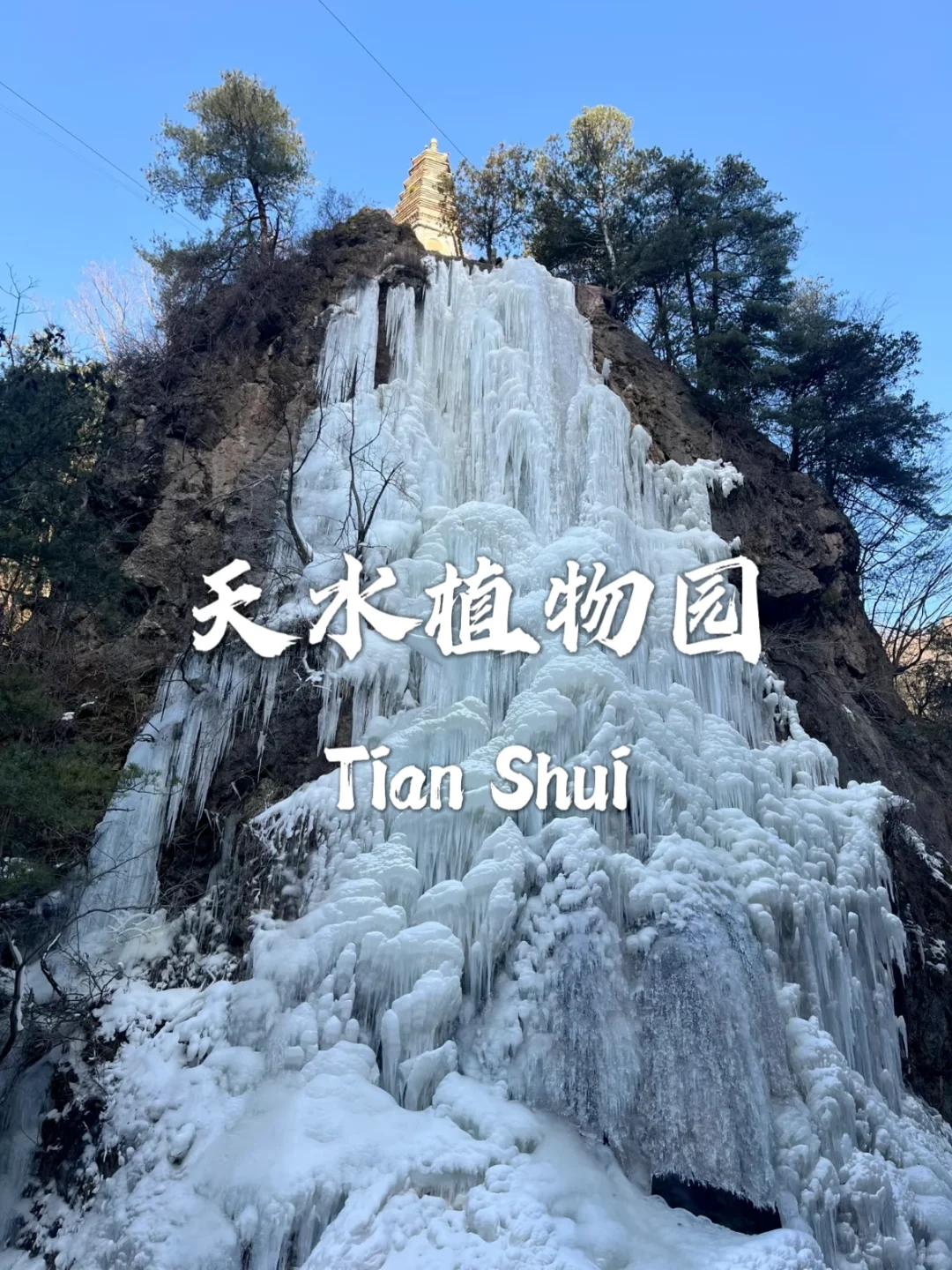 📍 天水及周边必去九个景点攻略 🏰