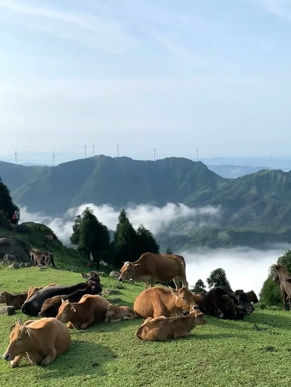 广西也太低调了吧！你不宣传这里是真糊涂啊