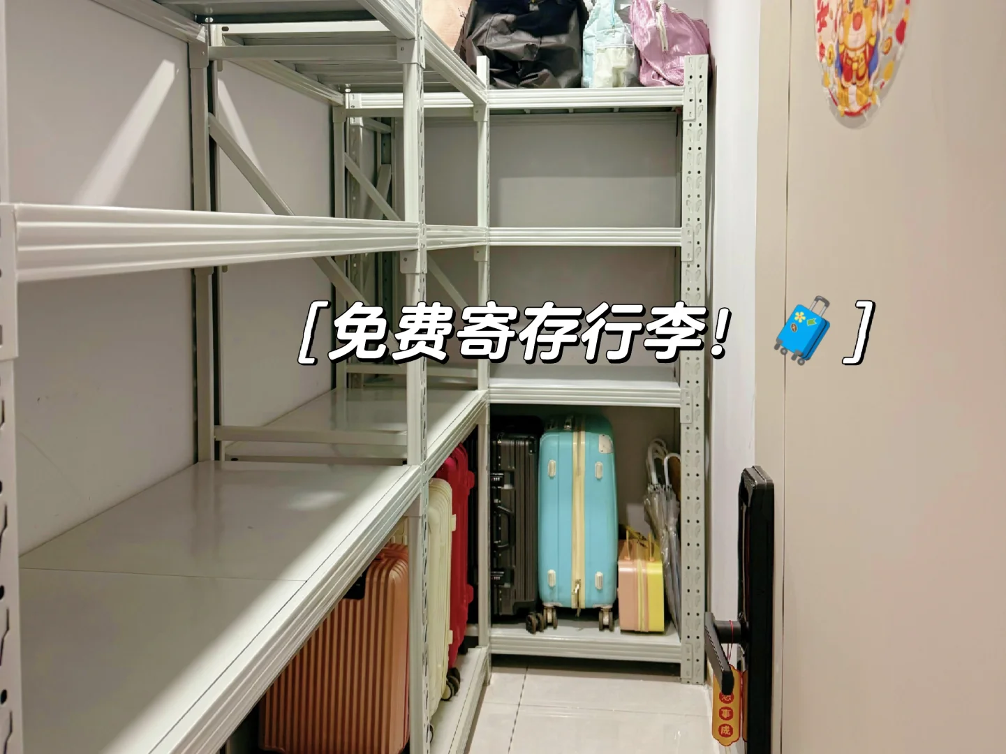 📣保姆级攻略来南京旅游的看这里！！！