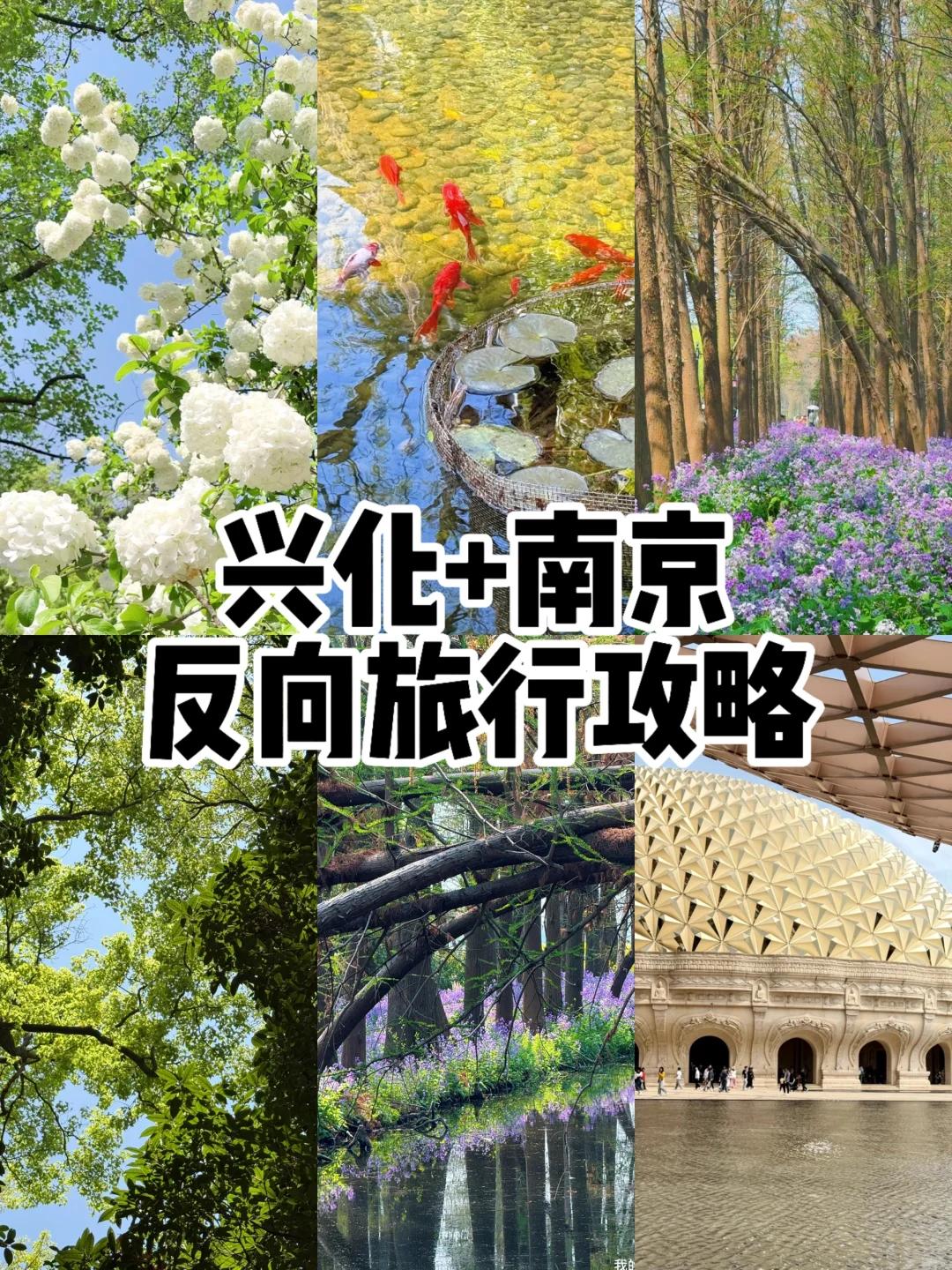 我悟了！反向旅行才是人少的真谛