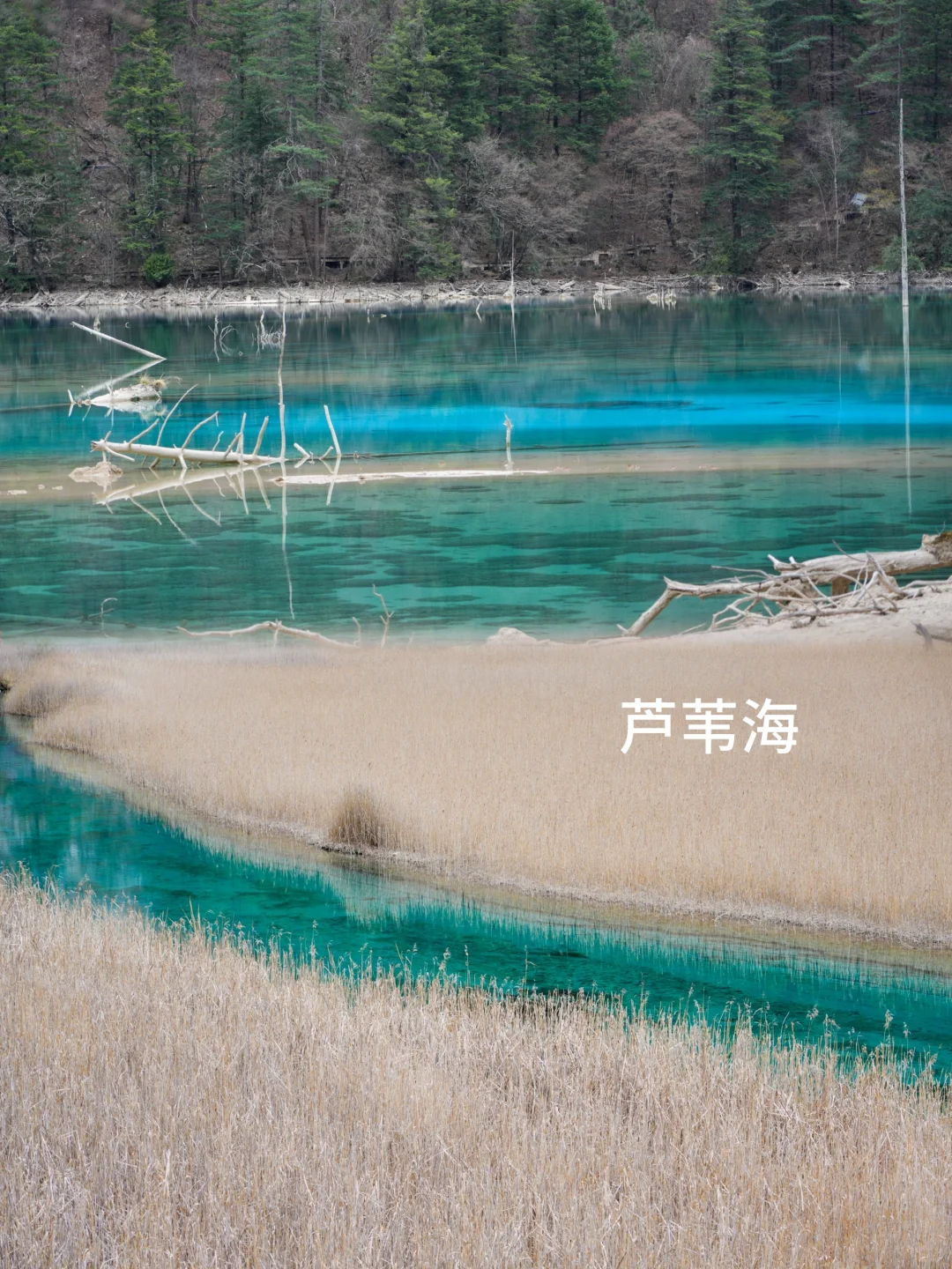 枯水期的九寨沟就这样玩