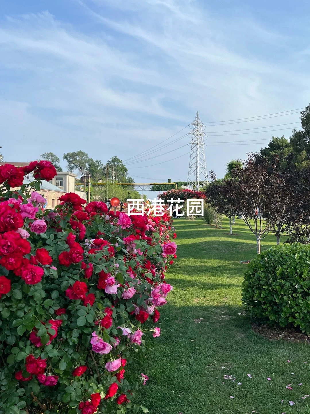 秦皇岛｜3天2晚人均500💰，性价比超哇塞‼️