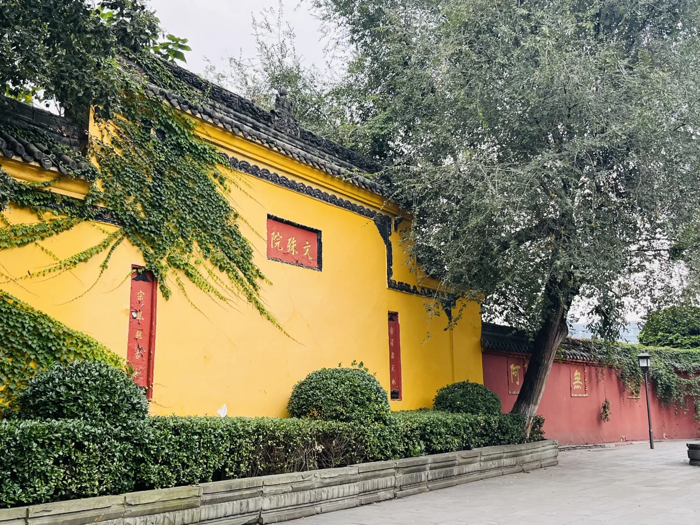 成都特种兵