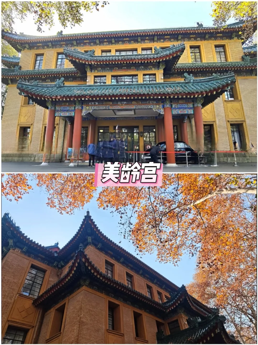📣保姆级攻略来南京旅游的看这里！！！