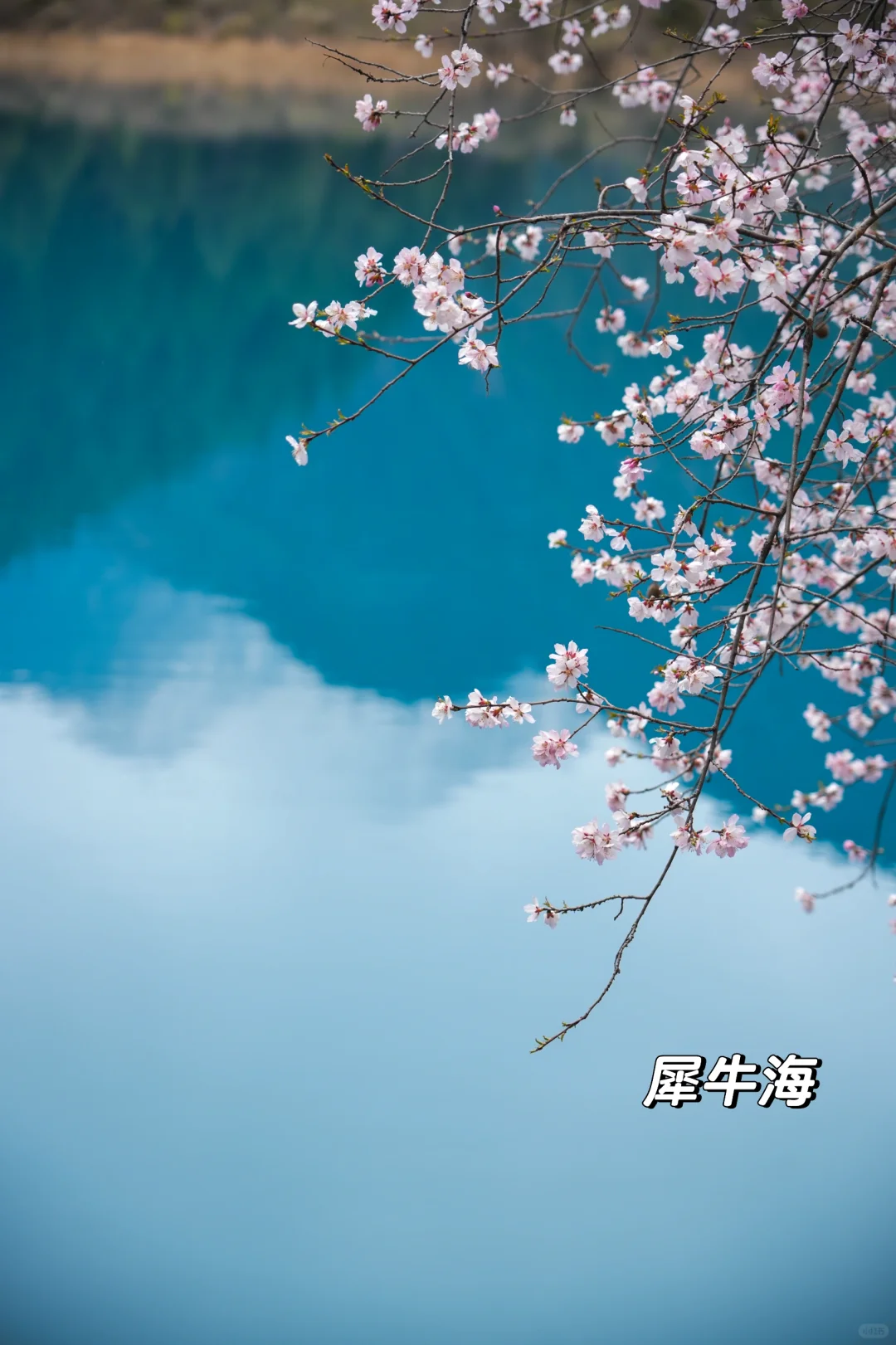 枯水期的九寨沟就这样玩