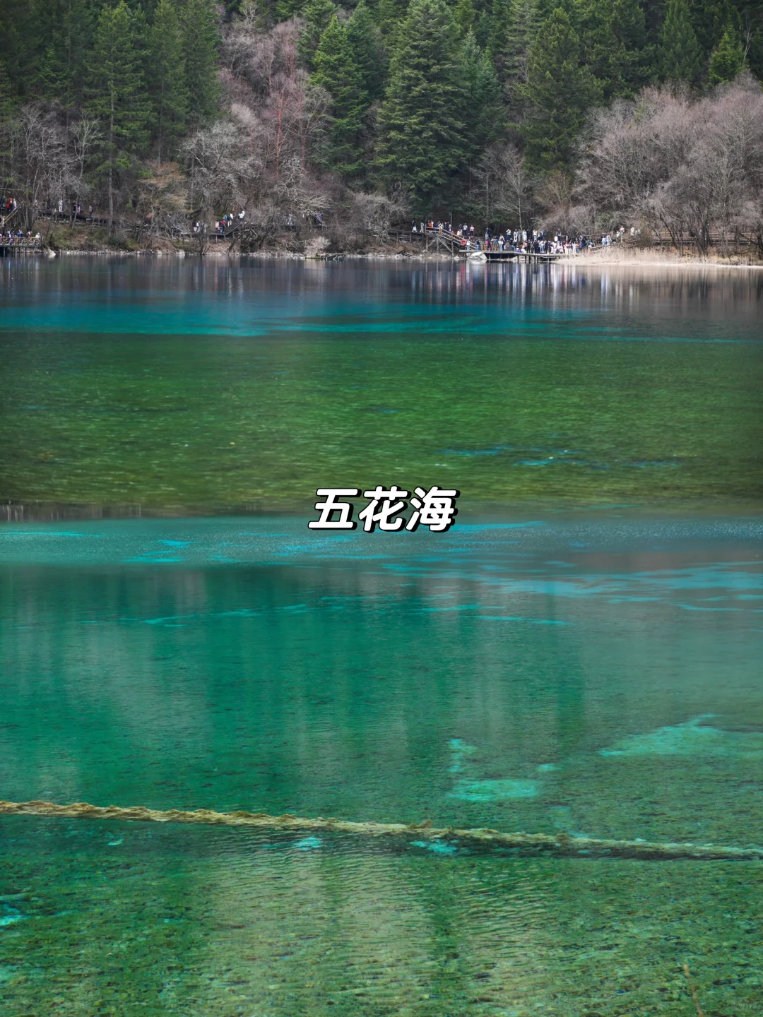 枯水期的九寨沟就这样玩