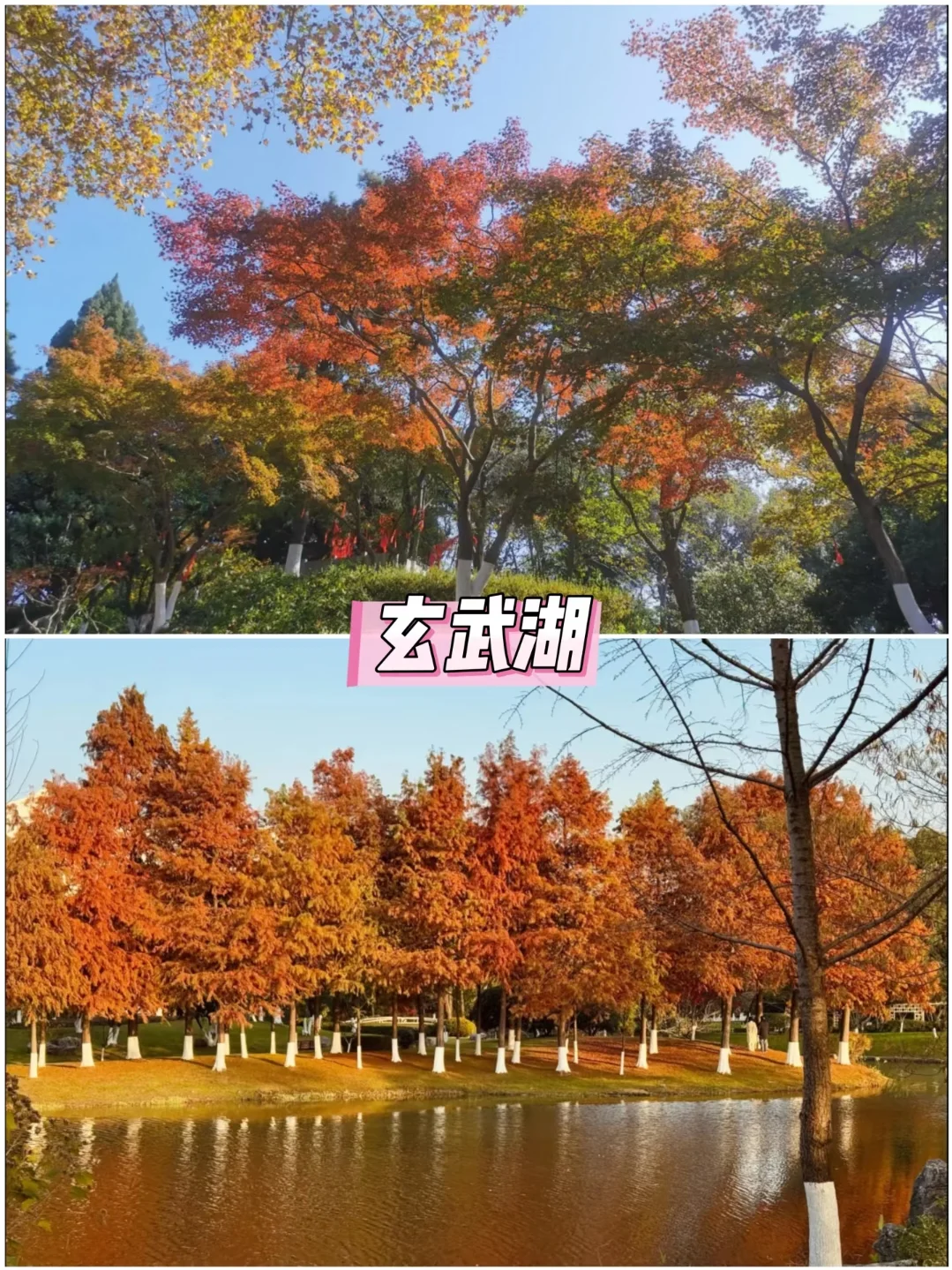 📣保姆级攻略来南京旅游的看这里！！！