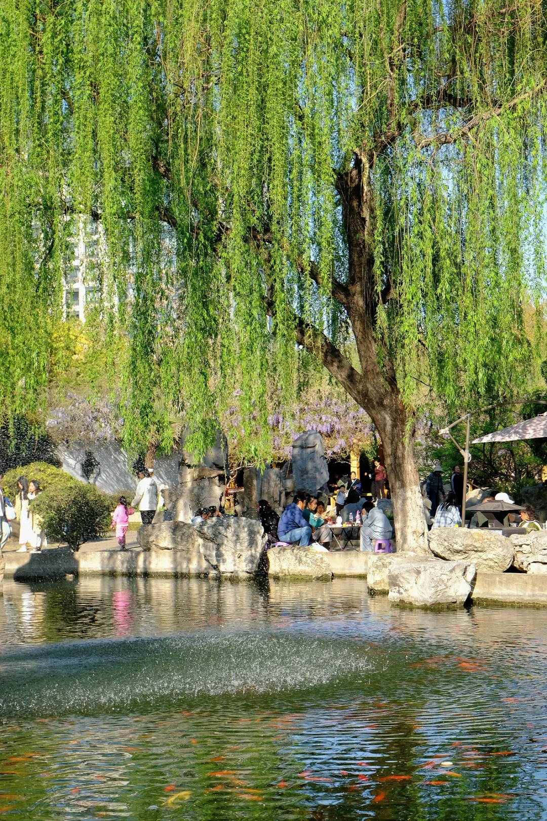 邯郸🌸春天的丛台公园是个巨大的能量场