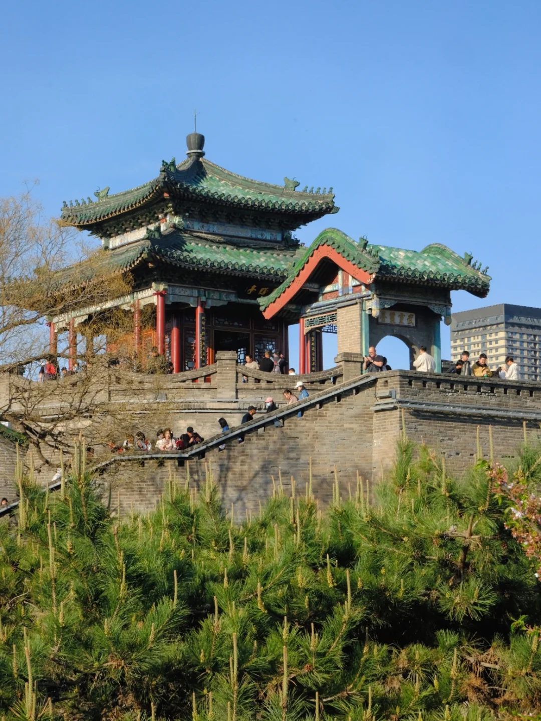 邯郸🌸春天的丛台公园是个巨大的能量场