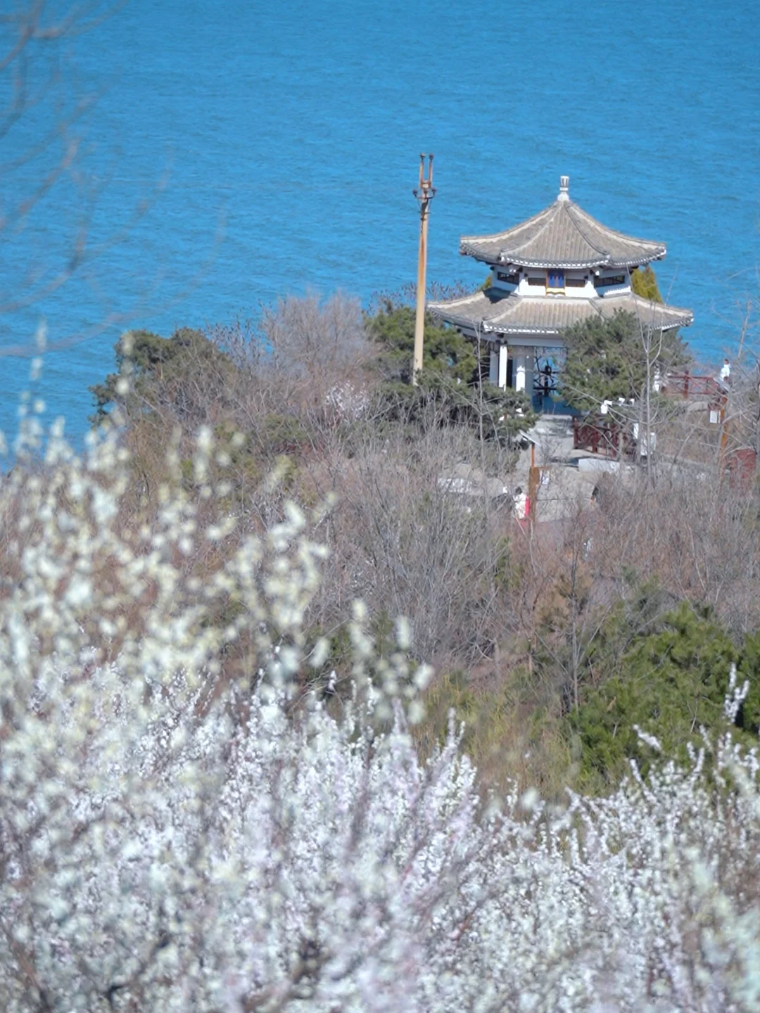 龙回头惊现桃花源｜兴城人私藏打卡地🌸