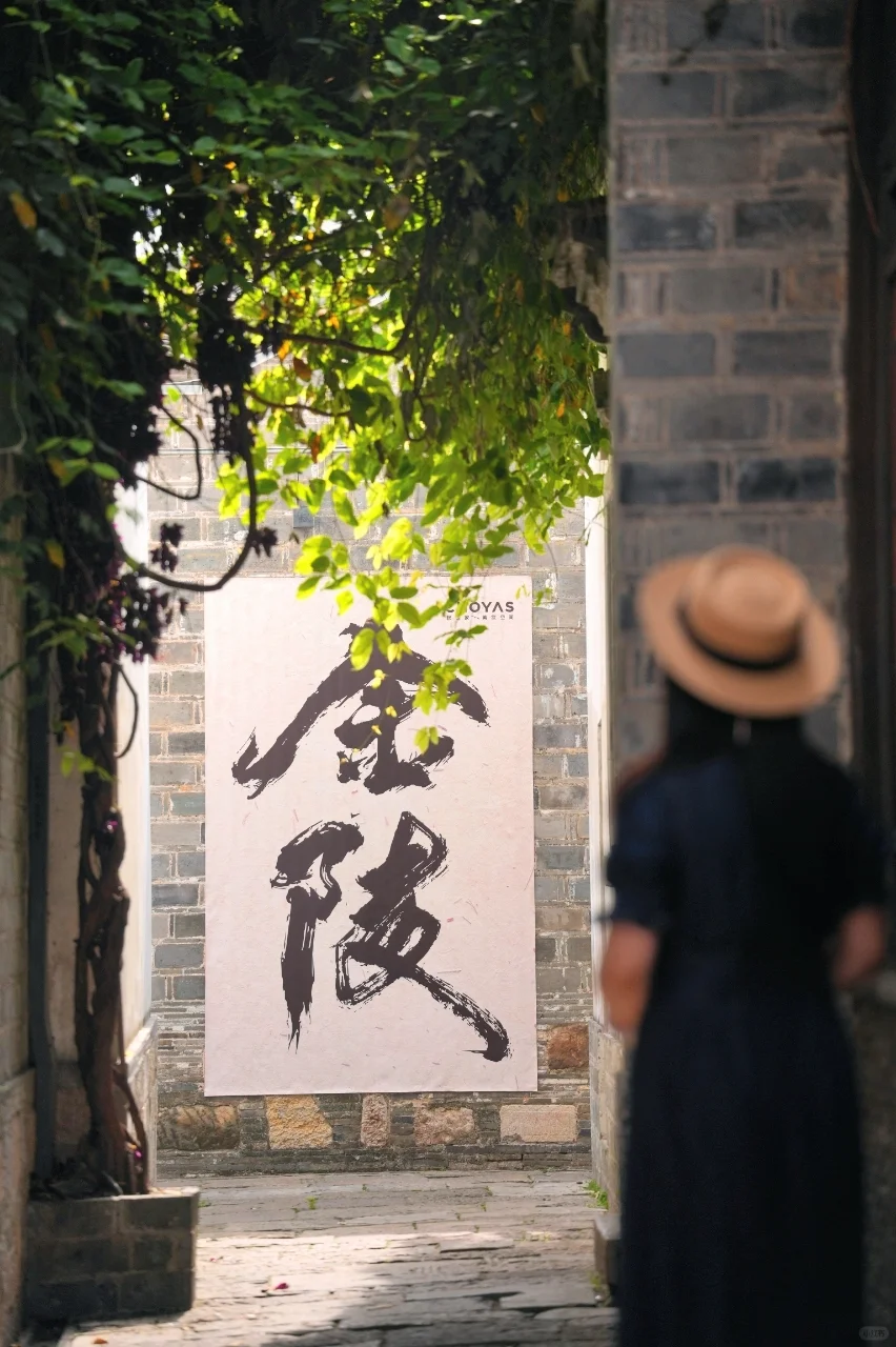 4.10实拍|凌晨7点的老门东,蔷薇盛开