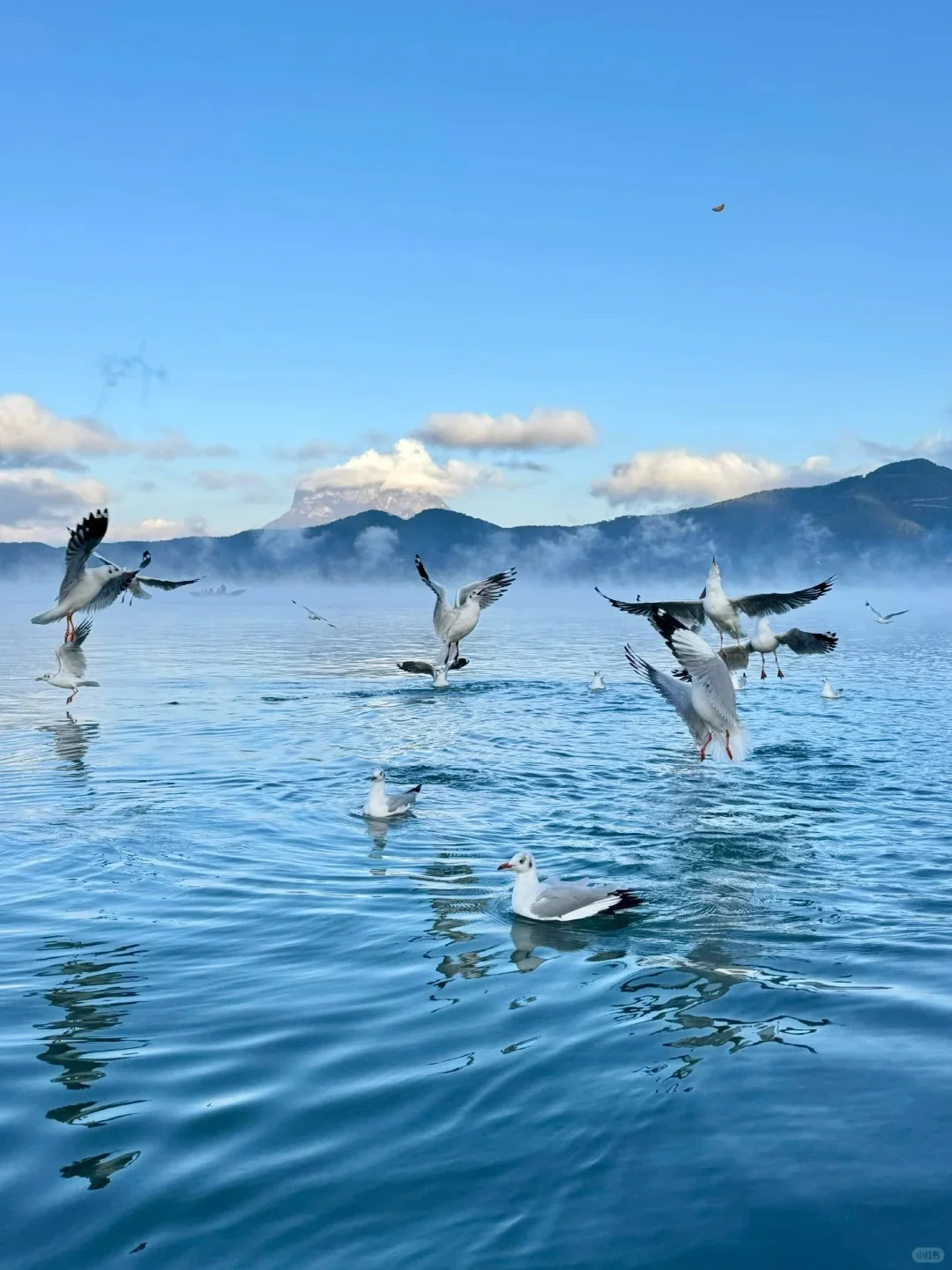 丽江旅游攻略㊙️必去九大景点