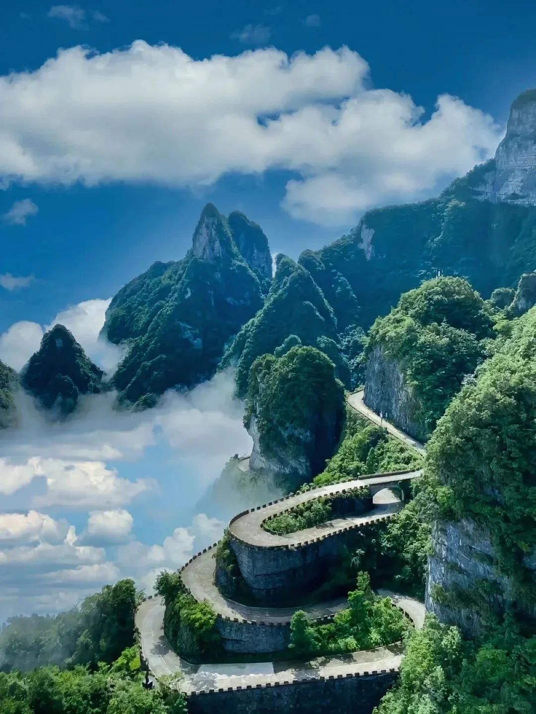 张家界必去九大景点❗旅游前必看攻略❗