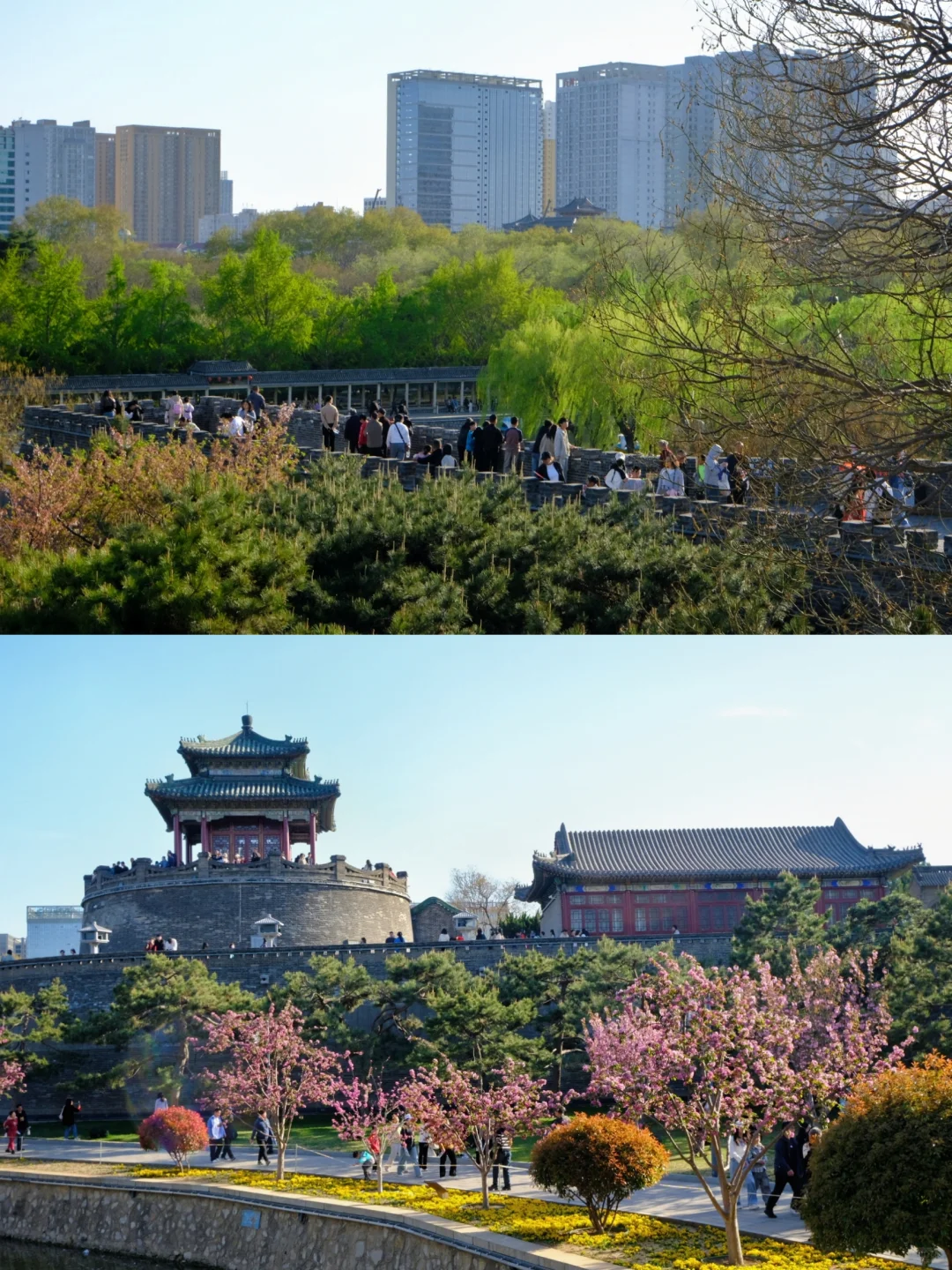 邯郸🌸春天的丛台公园是个巨大的能量场