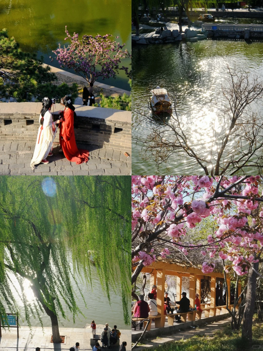 邯郸🌸春天的丛台公园是个巨大的能量场