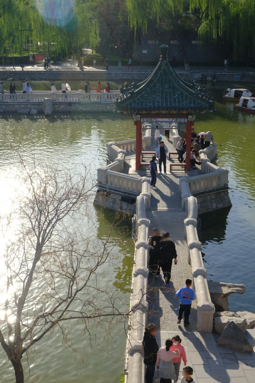 邯郸🌸春天的丛台公园是个巨大的能量场