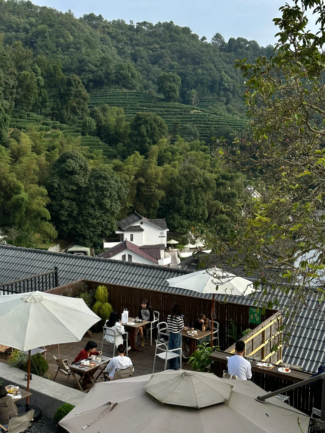 杭州春日徒步天花板！1日打卡5个神仙景点