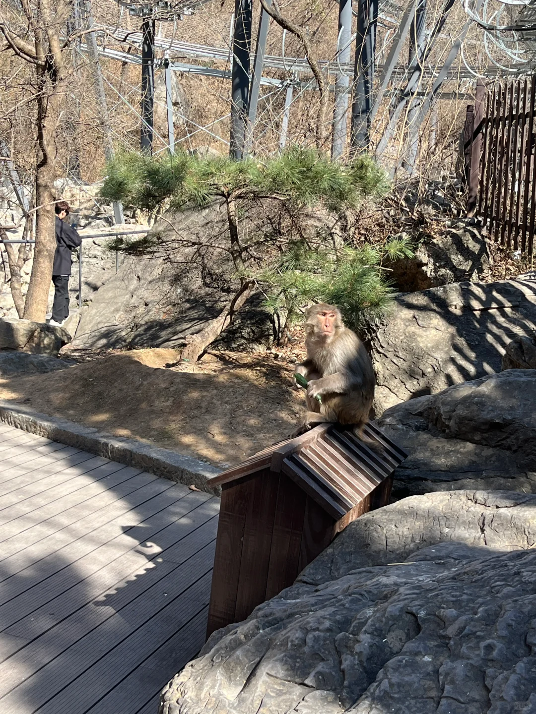 王维诗里的云台山⛰️（全图无滤镜