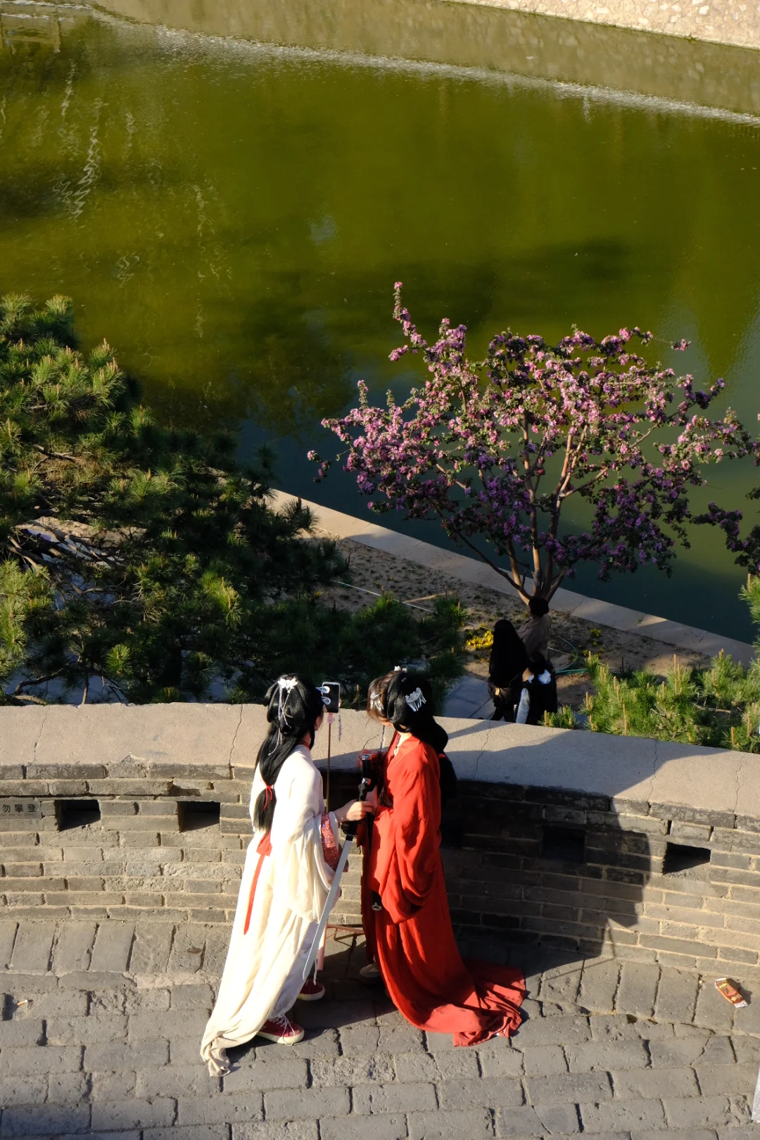 邯郸🌸春天的丛台公园是个巨大的能量场