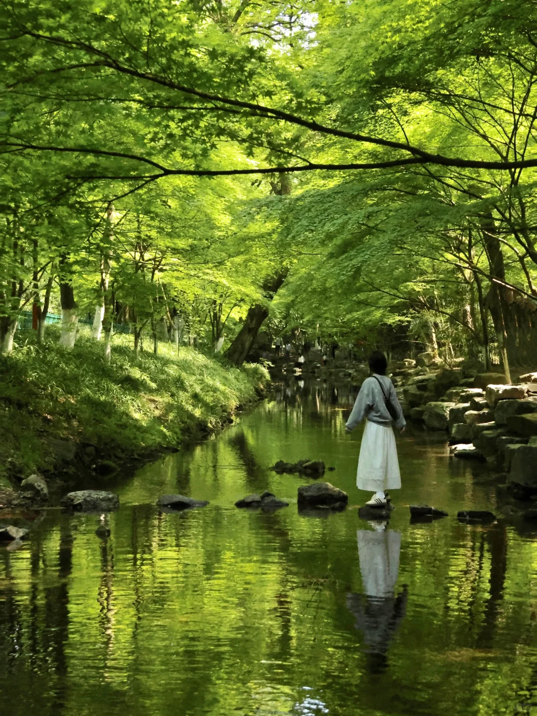 杭州春日徒步天花板！1日打卡5个神仙景点