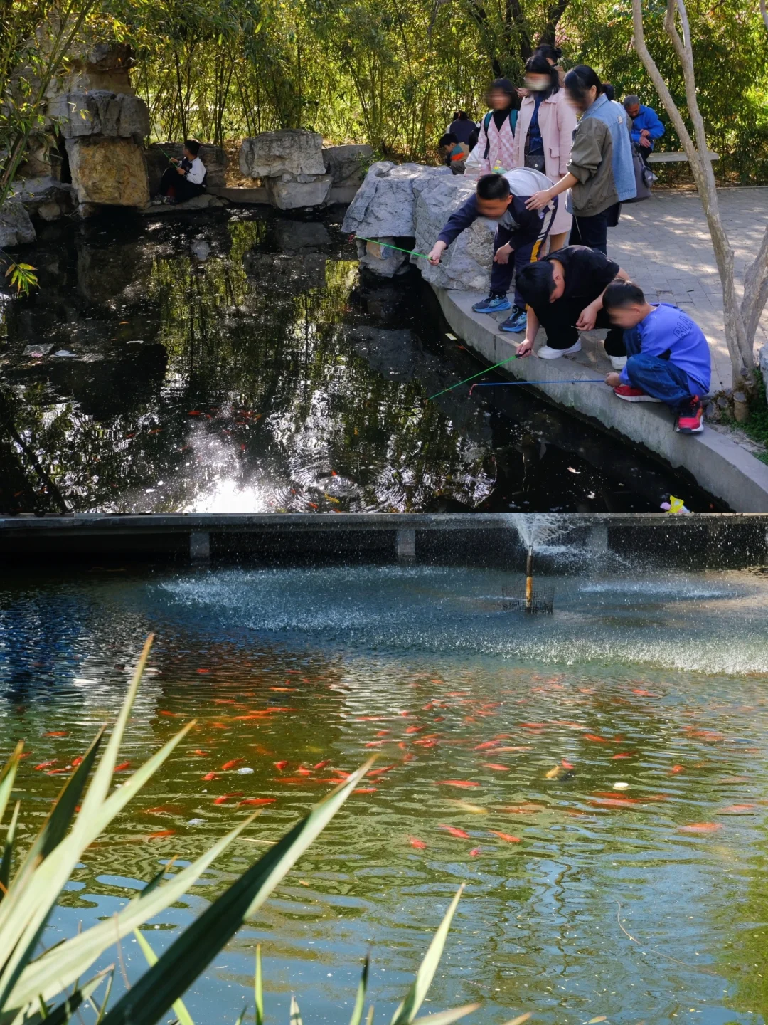 邯郸🌸春天的丛台公园是个巨大的能量场