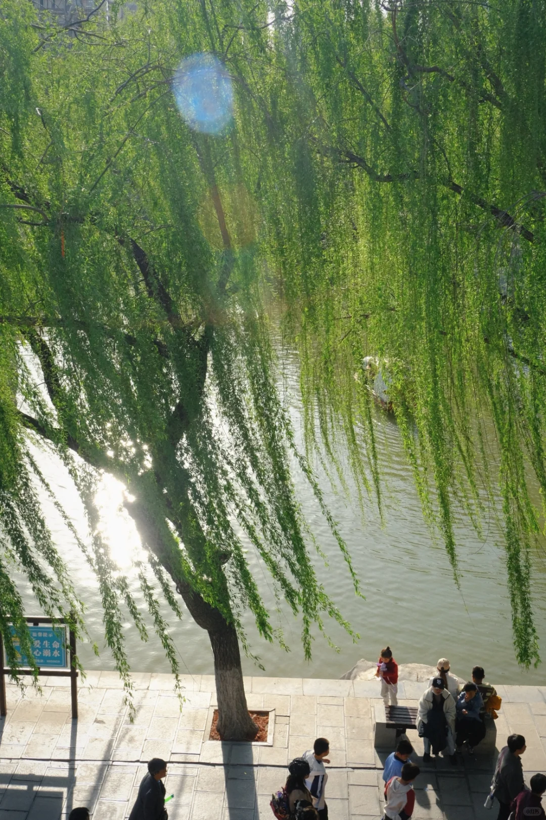 邯郸🌸春天的丛台公园是个巨大的能量场