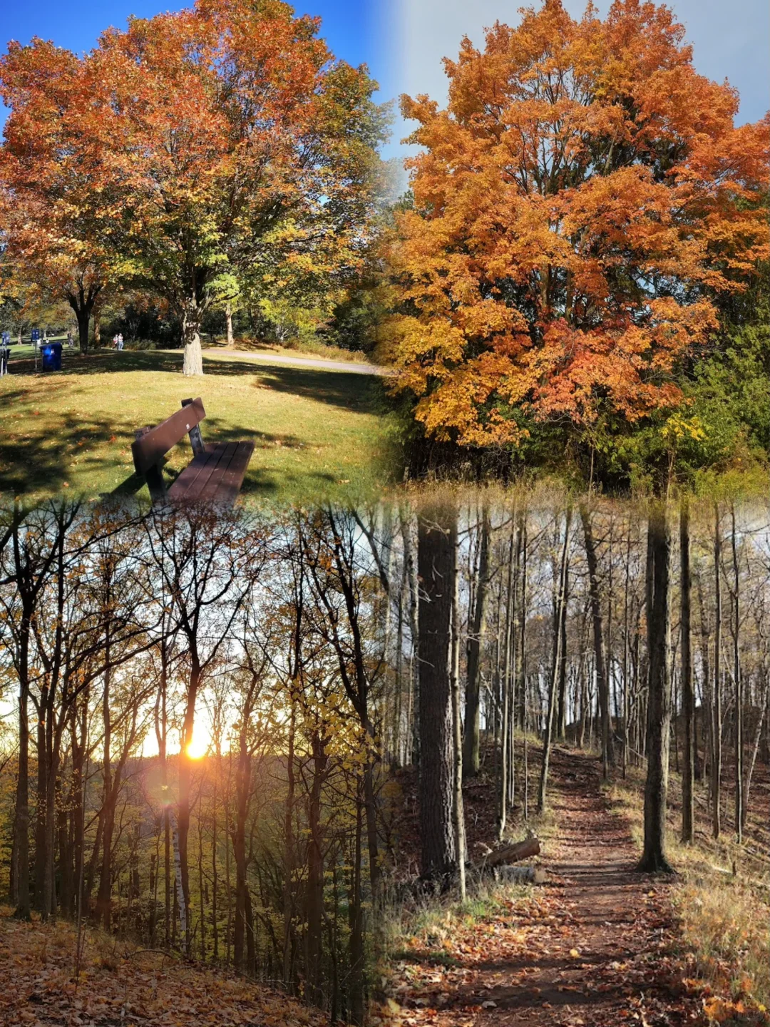 🇨🇦多伦多Morningside公园介绍➕游玩攻略🌳