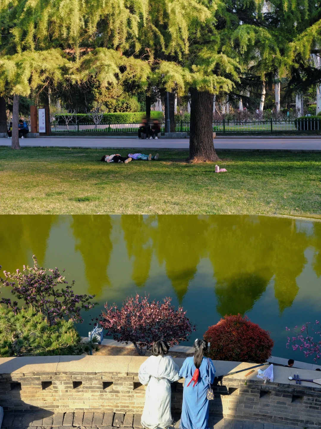 邯郸🌸春天的丛台公园是个巨大的能量场