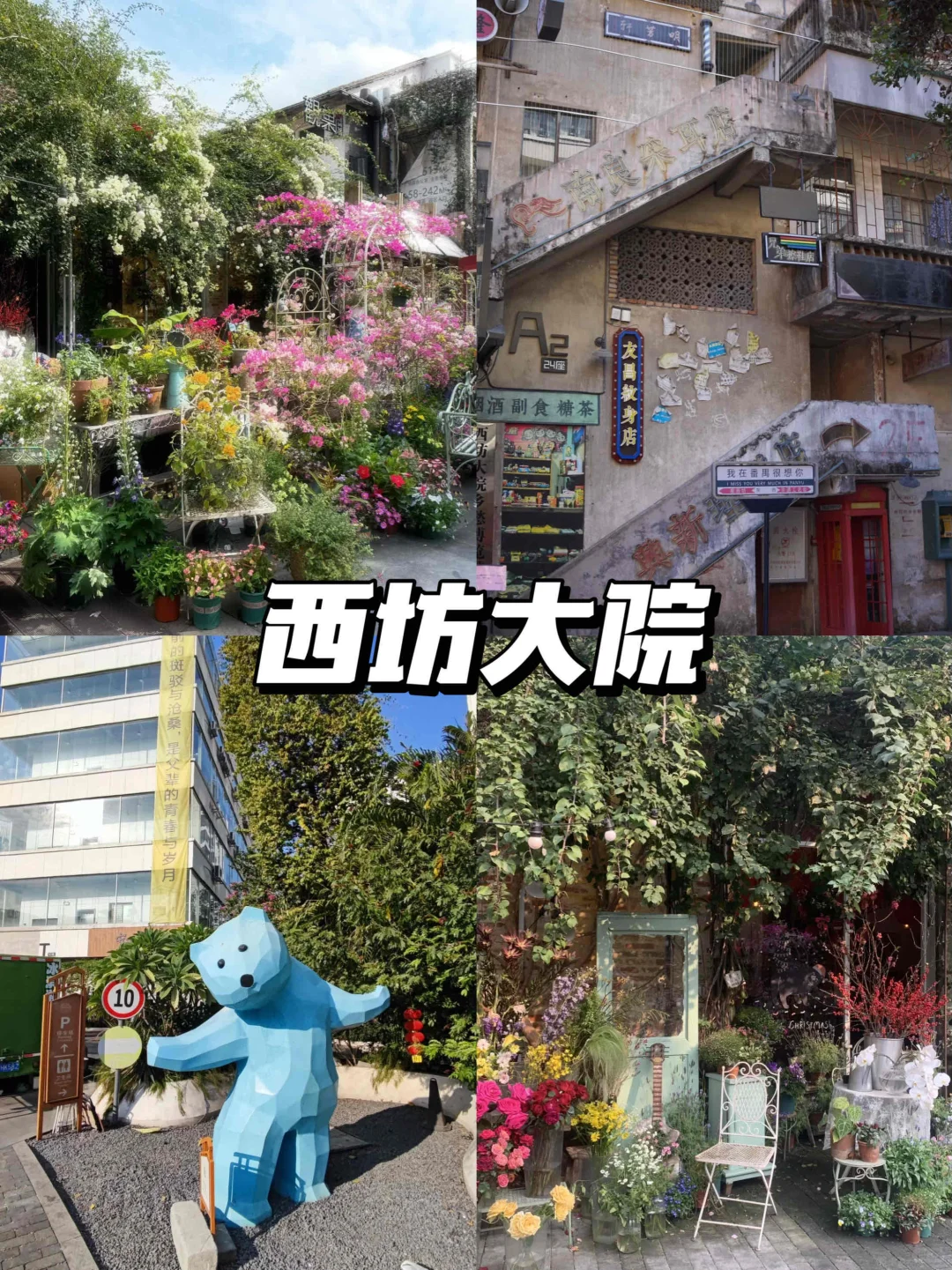 🎈周末出行｜广州番禺免费好玩的九个地方
