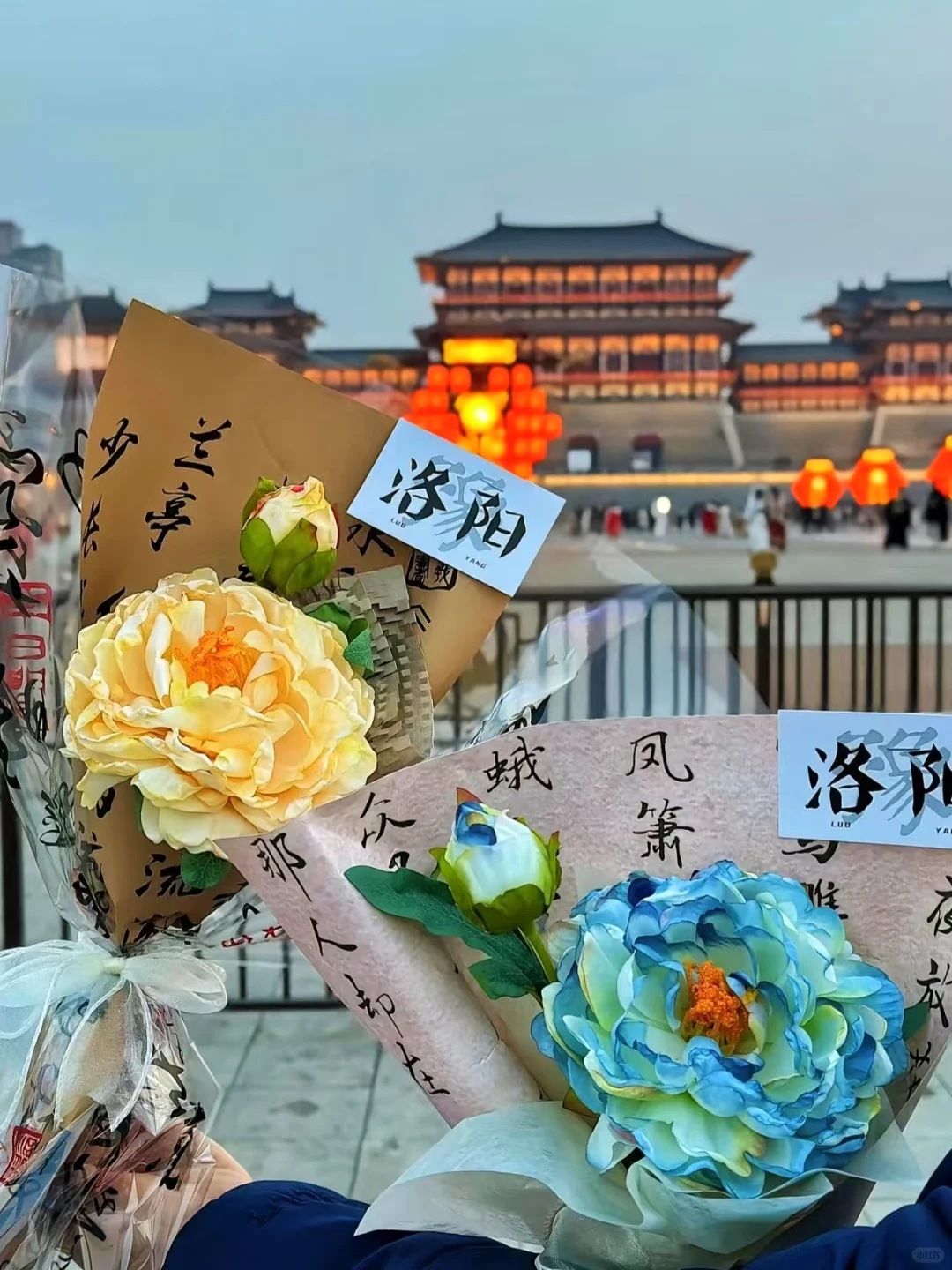 4月风起洛阳🌺牡丹花开等你千年