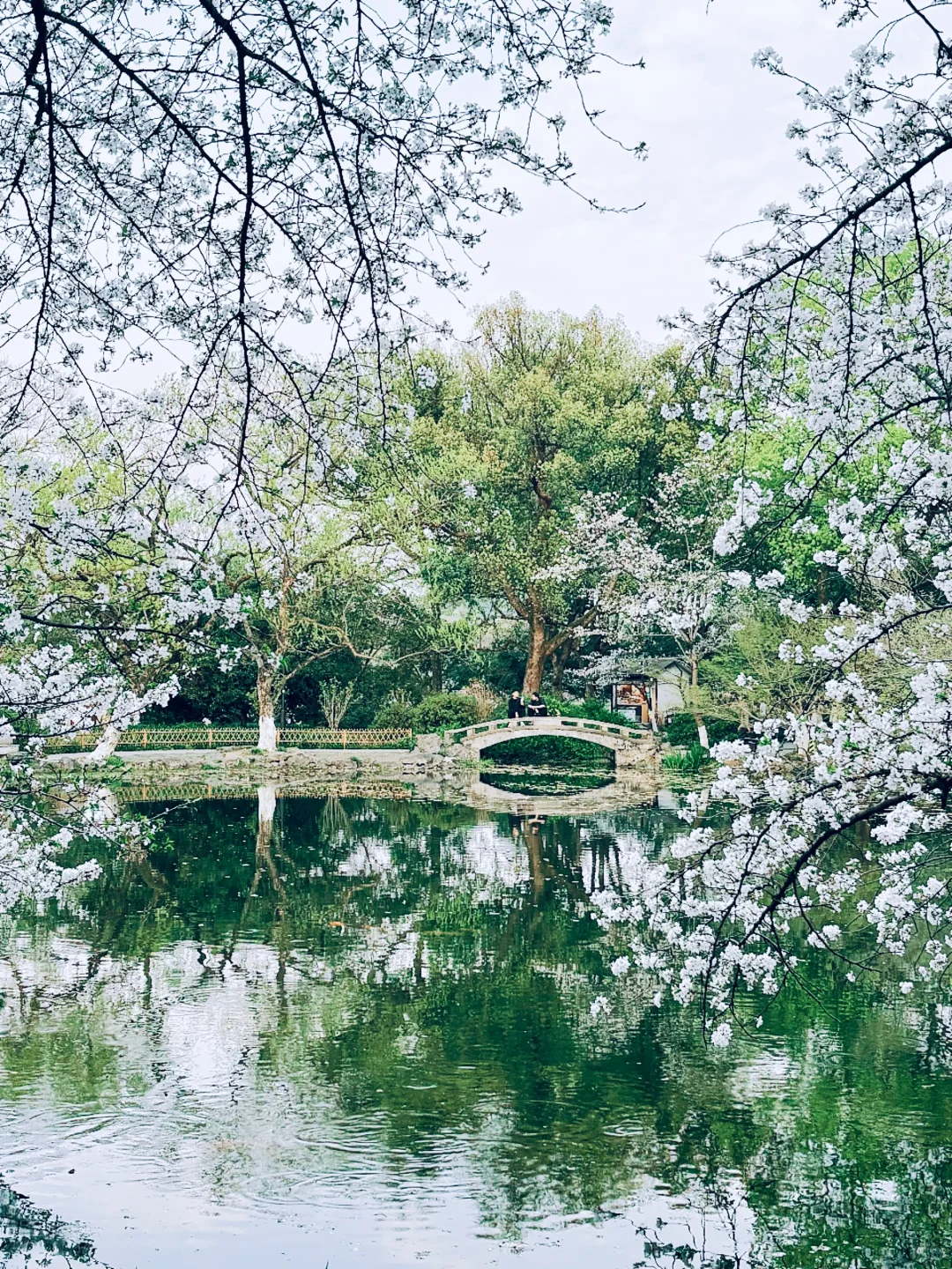 杭州一日游必去景点推荐｜照搬这篇旅游攻略