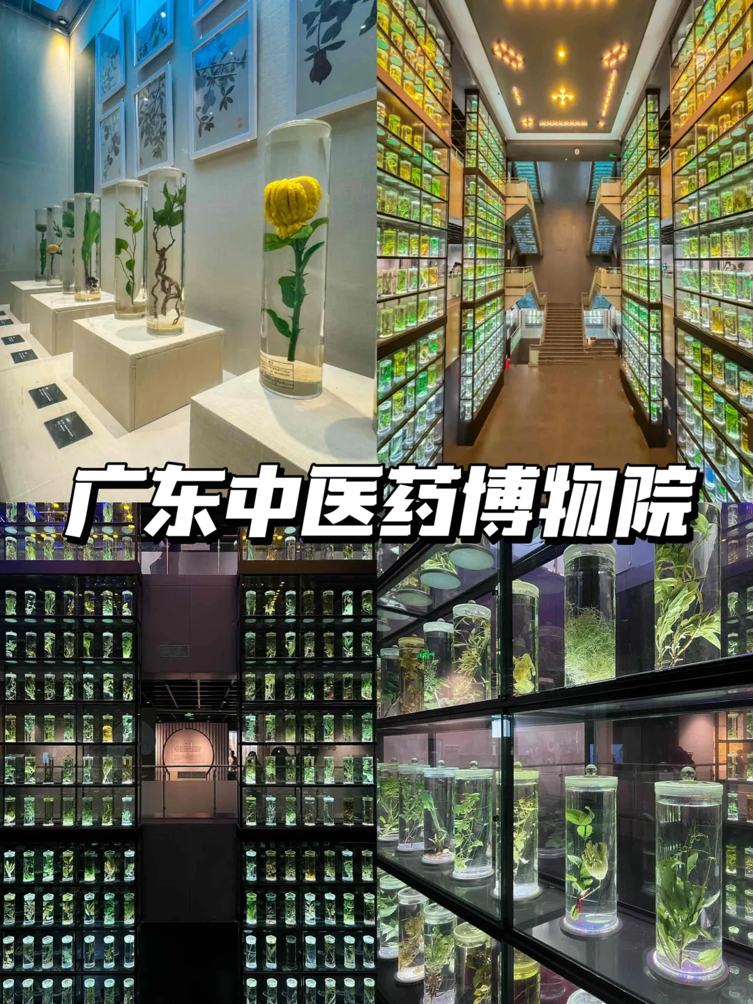 🎈周末出行｜广州番禺免费好玩的九个地方