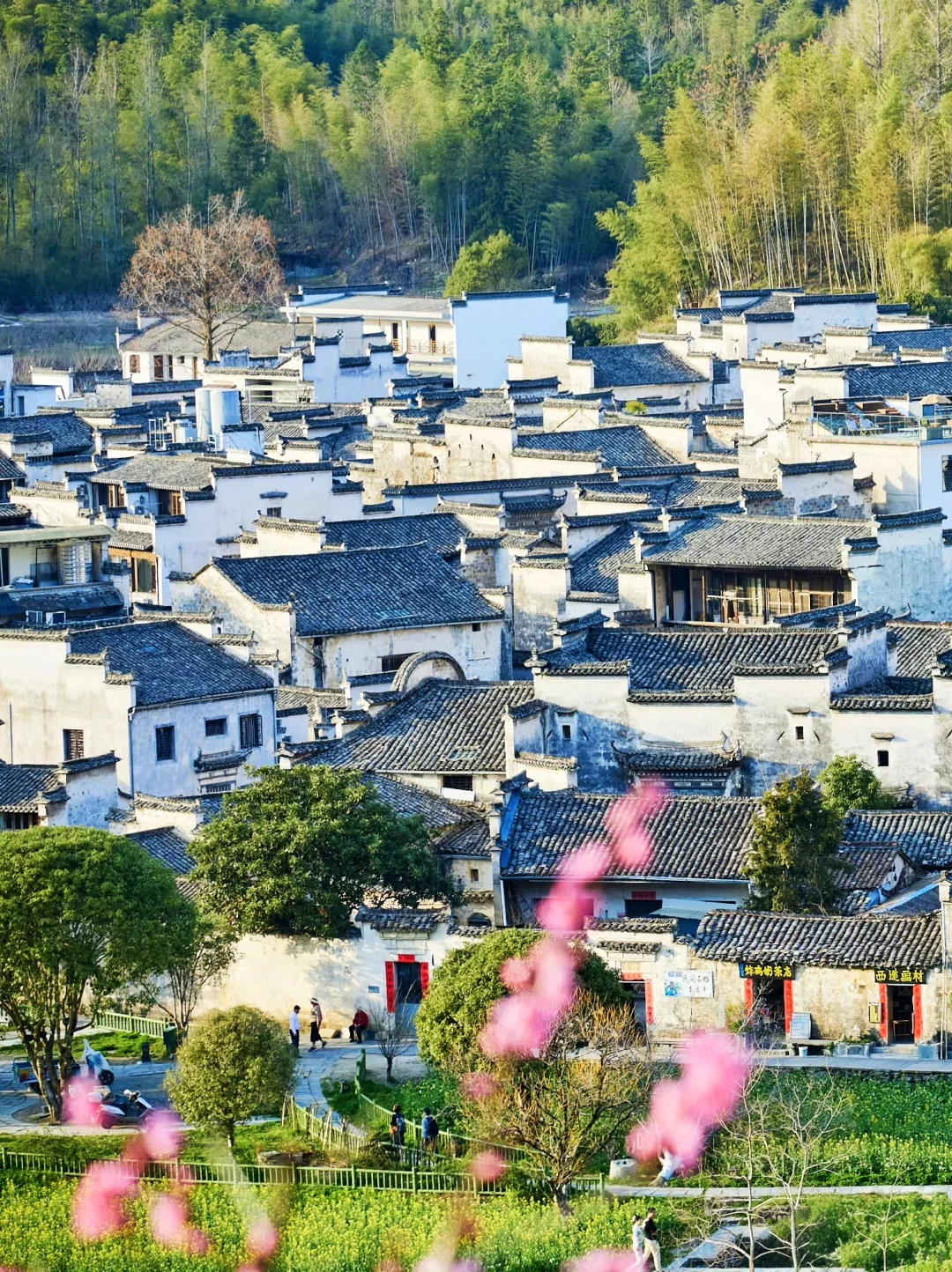 清明赴黄山⛰️吹梦到徽州🌪出发了！