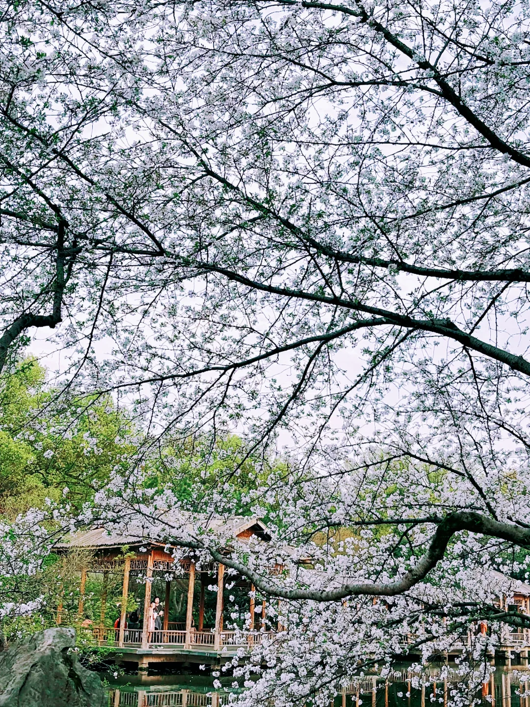 杭州一日游必去景点推荐｜照搬这篇旅游攻略