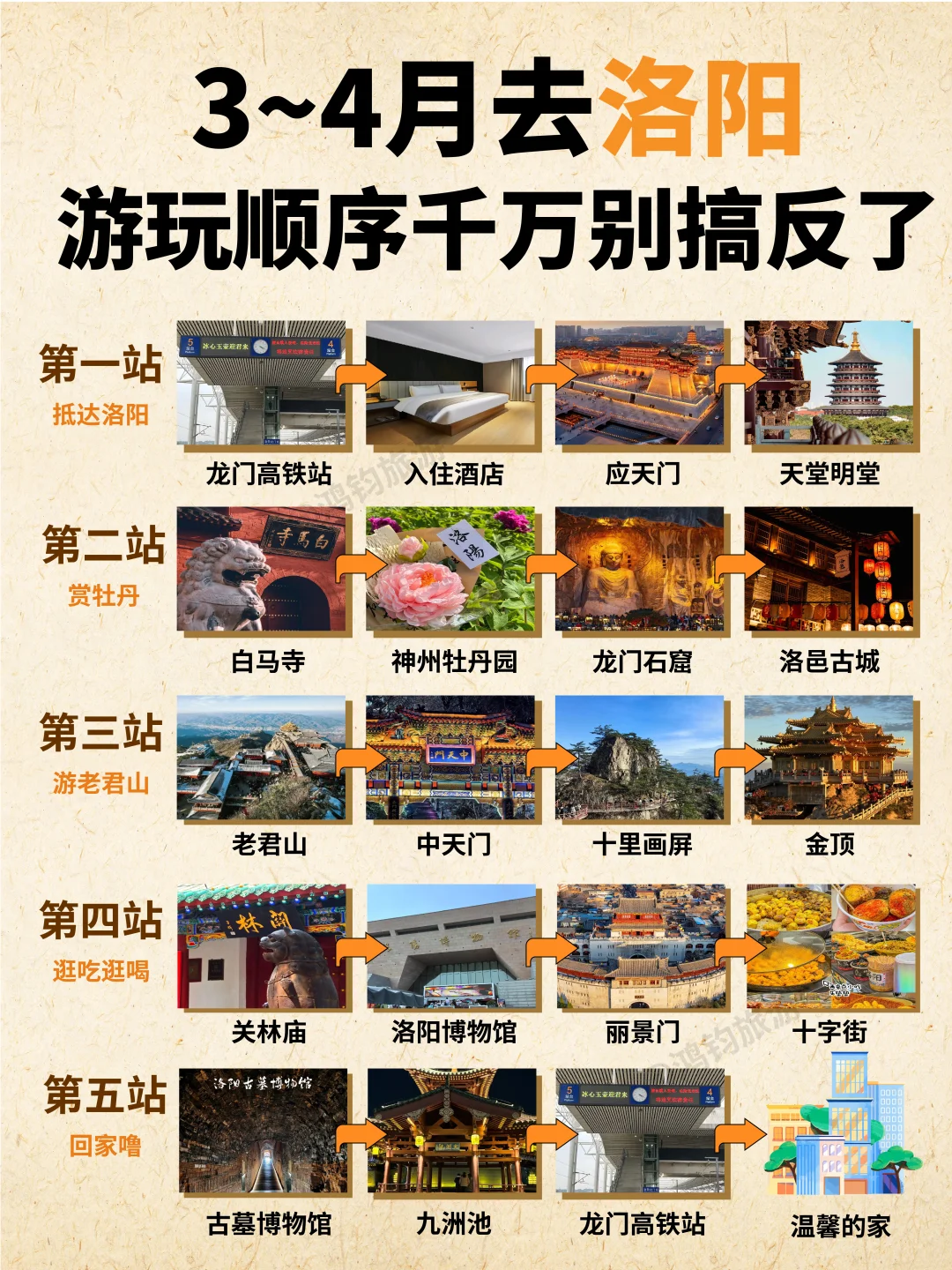 计划3～4来洛阳游玩赏牡丹的宝宝看过来