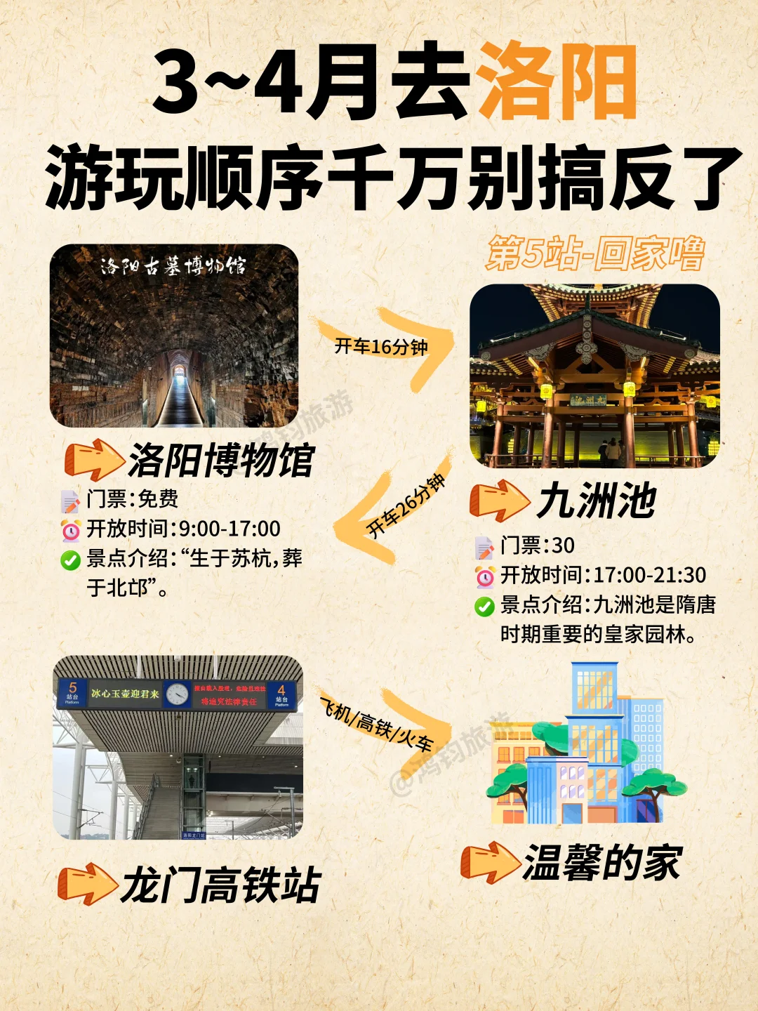 计划3～4来洛阳游玩赏牡丹的宝宝看过来