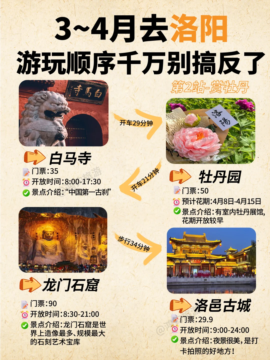 计划3～4来洛阳游玩赏牡丹的宝宝看过来