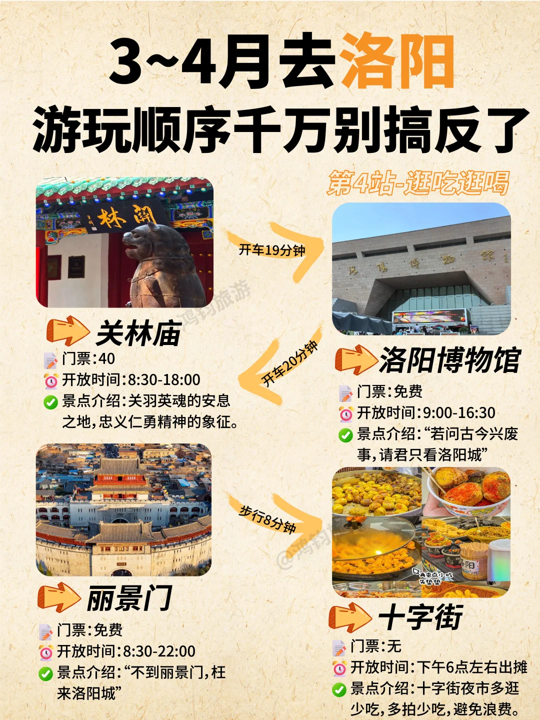 计划3～4来洛阳游玩赏牡丹的宝宝看过来