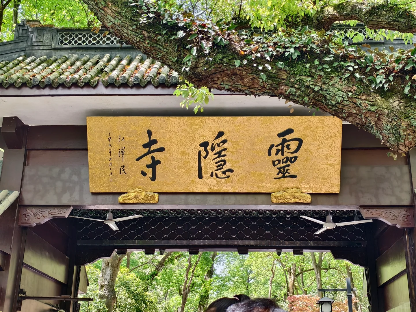 拍到了彩虹