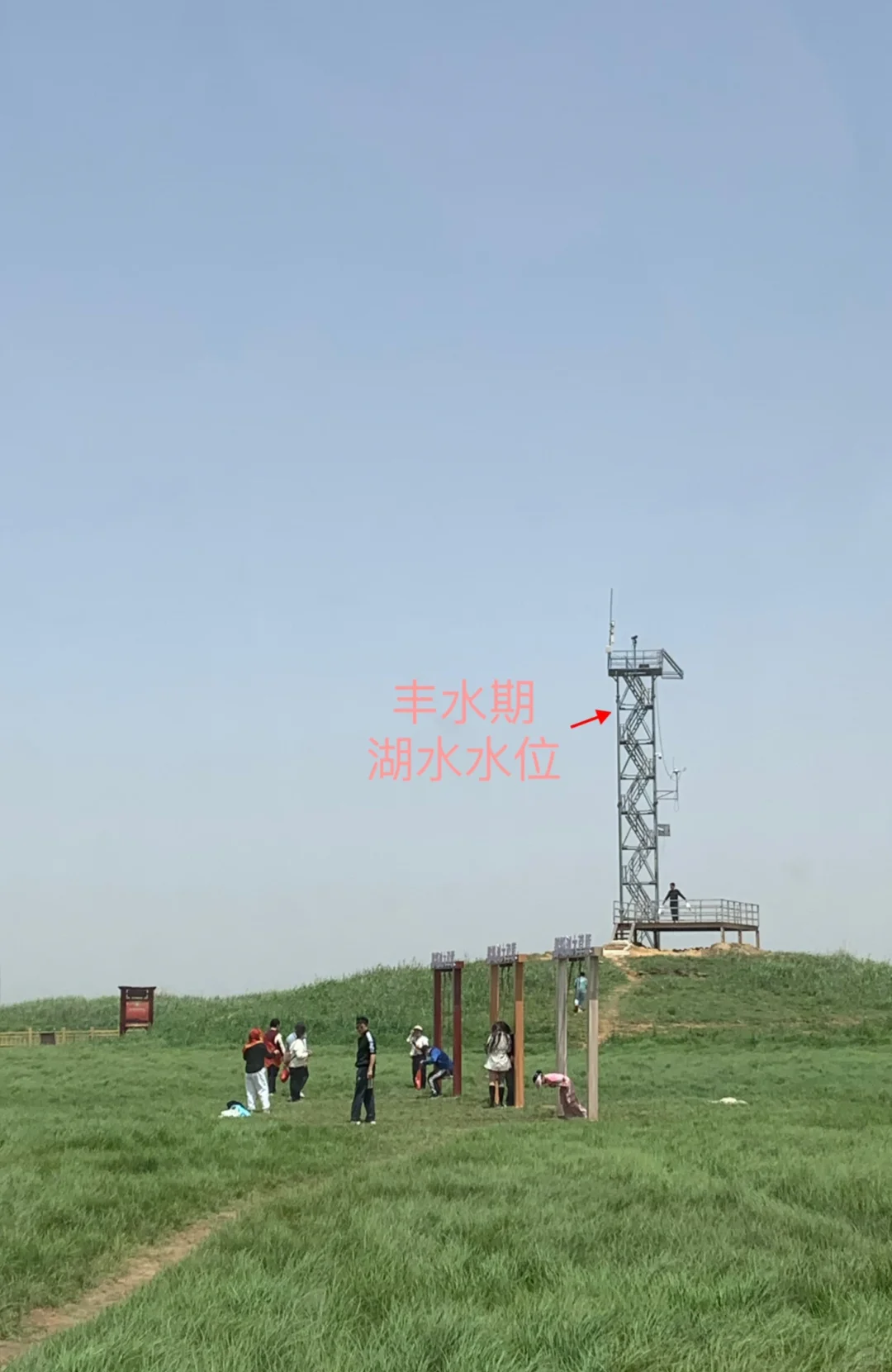 鄱阳湖大草原牛马到此一游